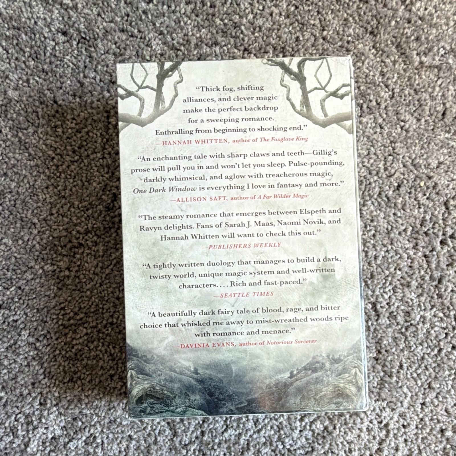 Rachel Gillig Shepherd King Duology Paperback Box Set (2025) Orbit
