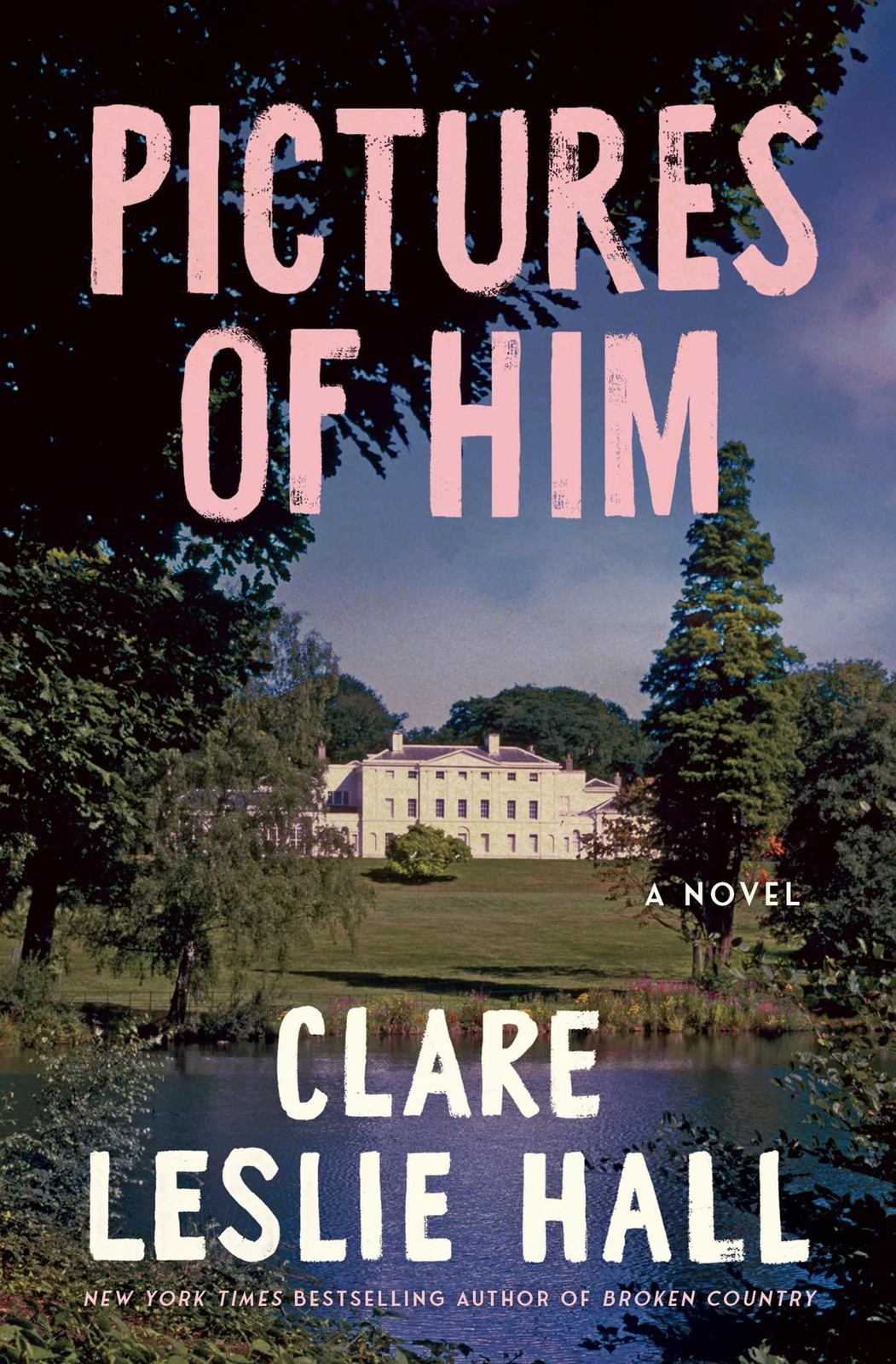 Pictures of Him: A Novel, Hall, Clare Leslie, Excellent Book