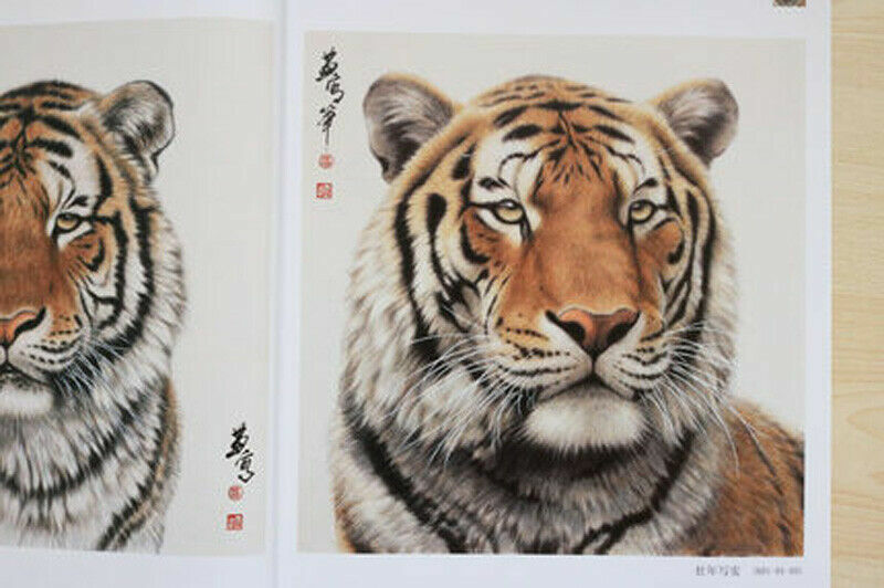 Chinese Ink Painting Gongbi Animal Tiger Drawing Art Book