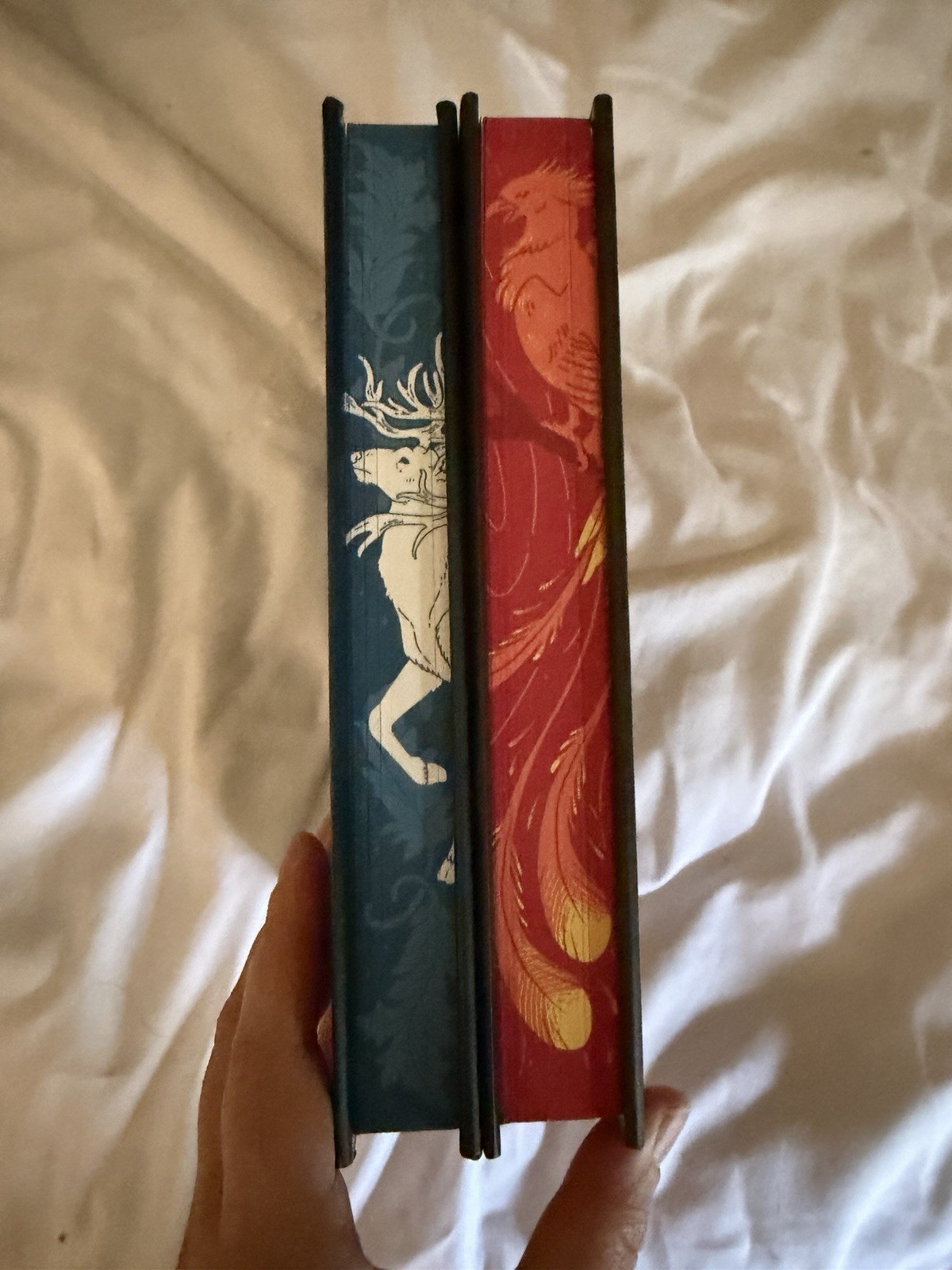 Owlcrate Shadow And Bone + Ruin And Rising By Leigh Bardugo