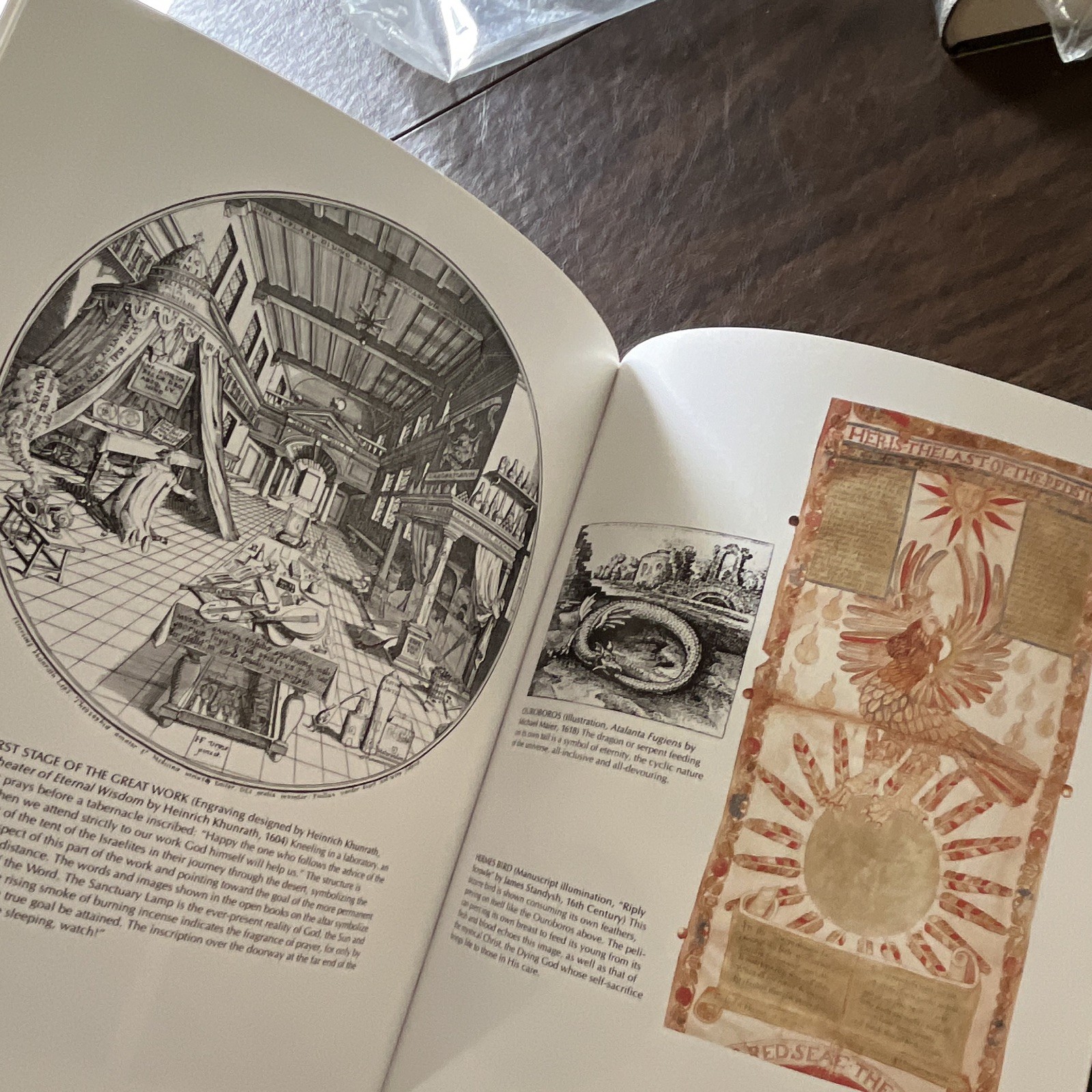 Art and Symbols of the Occult HC Illustrated James Wasserman 1993 Tiger Books