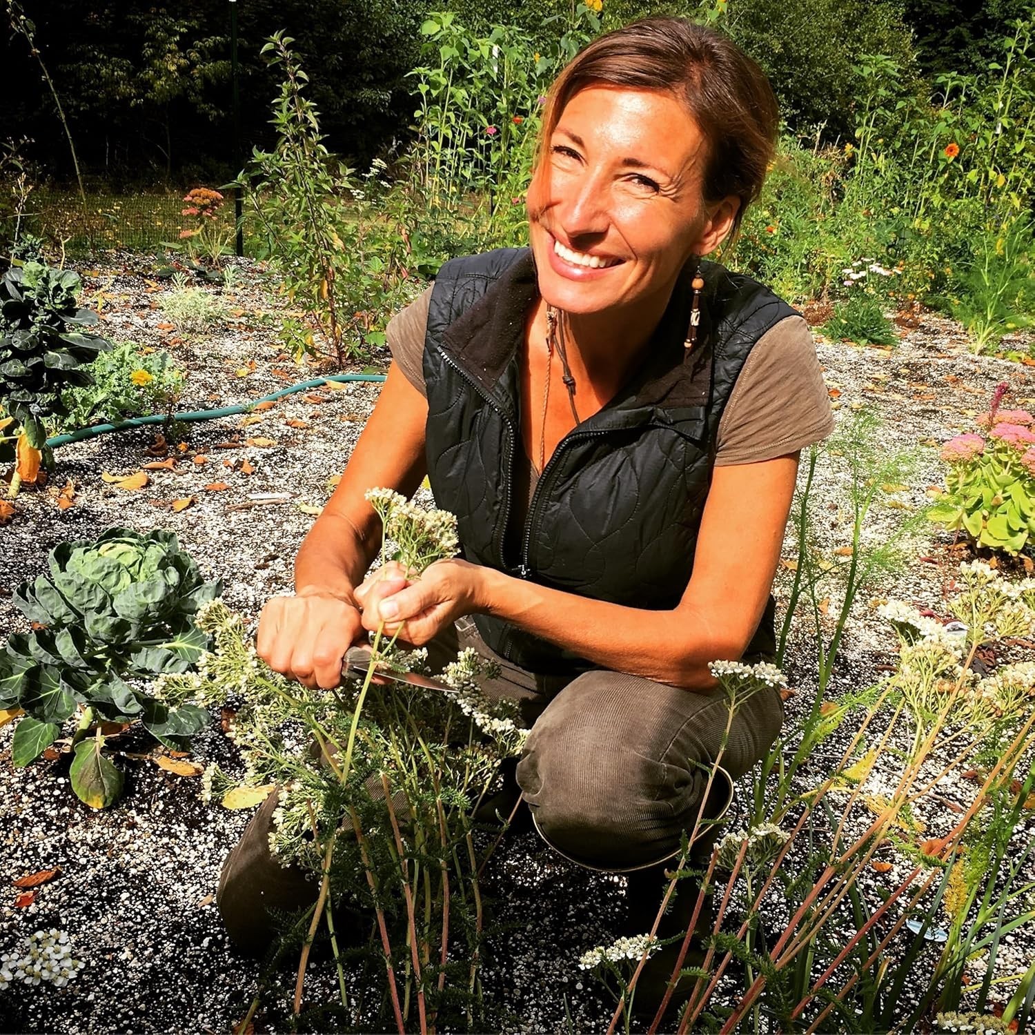 The Forgotten Guide to Plant Remedies