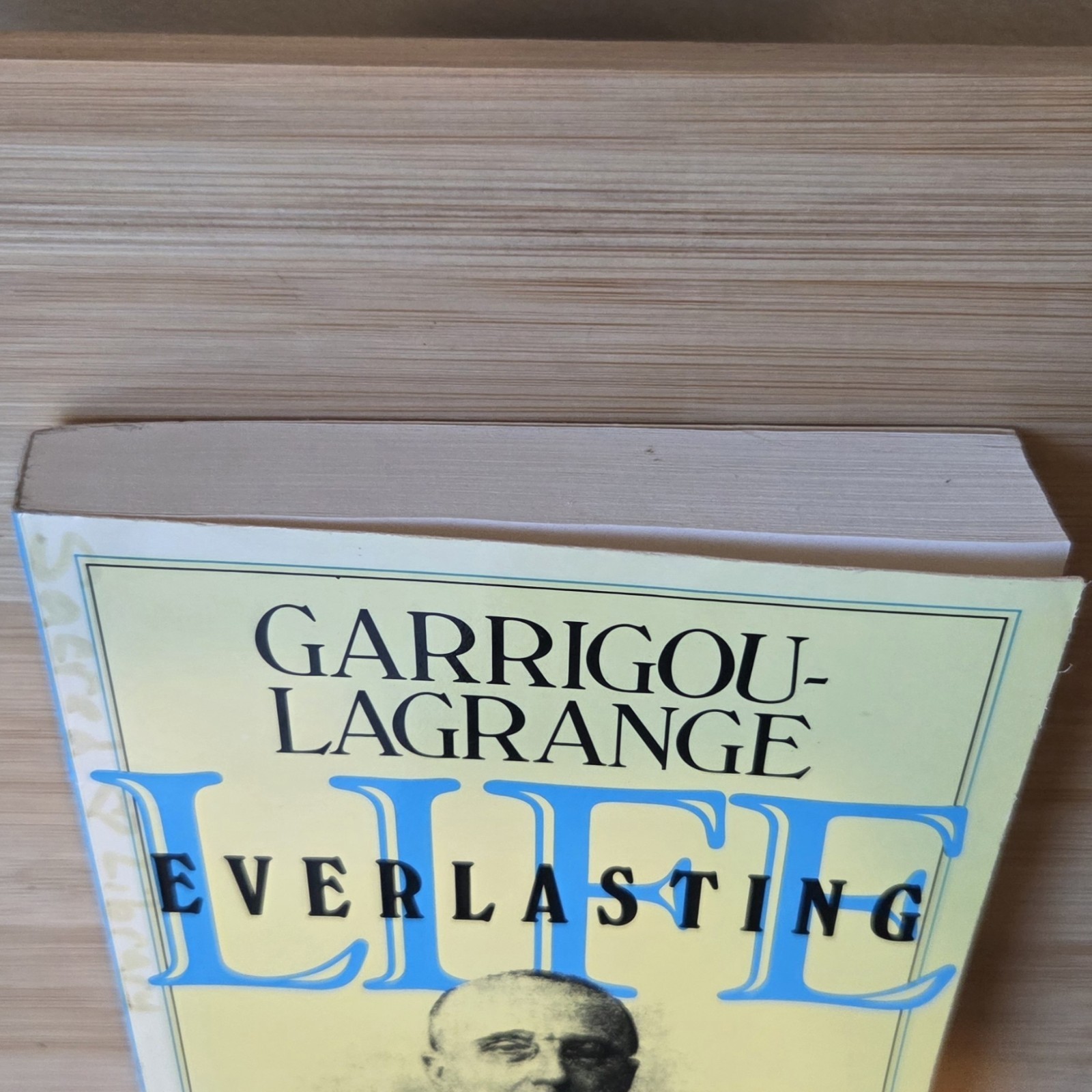 Life Everlasting and the Immensity of the Soul: A Theological Treatise