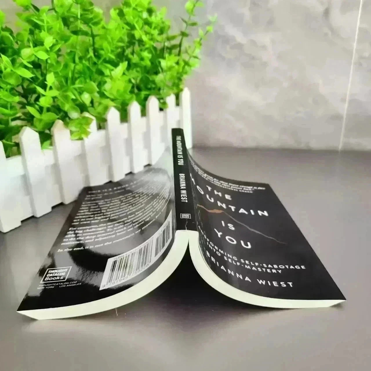 The Mountain is you by Brianna Wiest Paperback Book – Free Shipping US