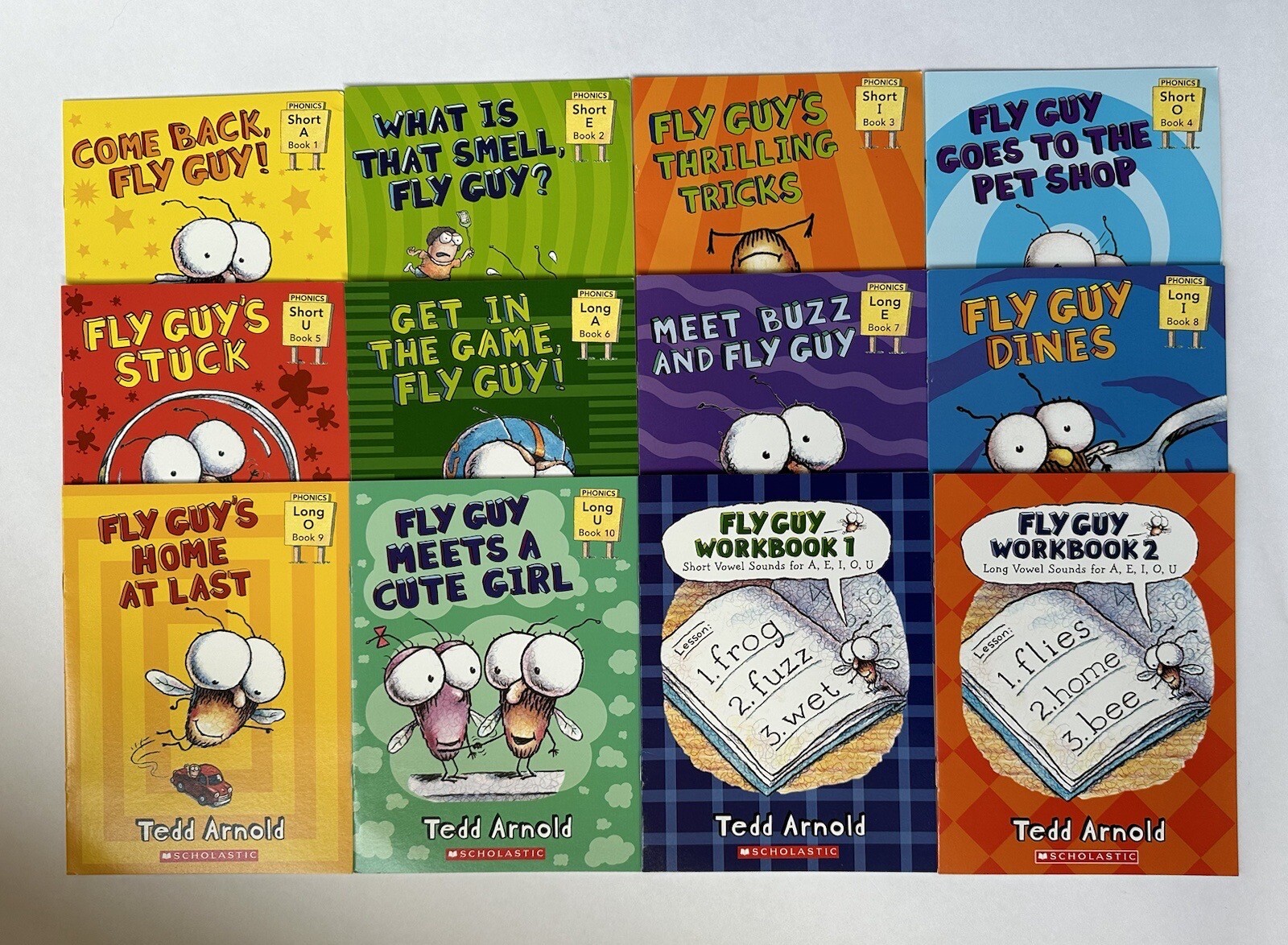 Fly Guy Phonics Children’s Books Beginning Readers Lot 12