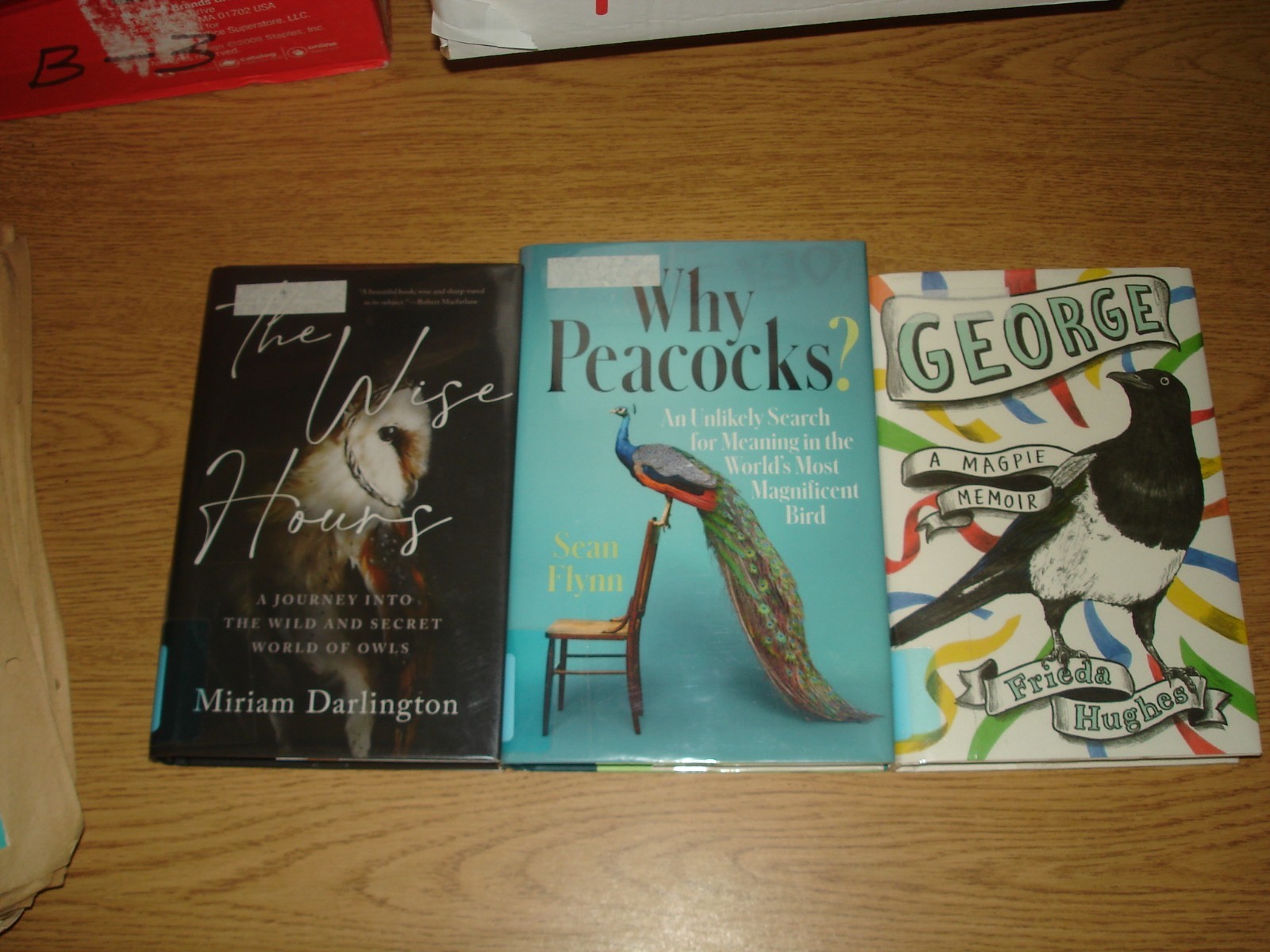 Lot of 3 books about Birds 2020s Magpies/Peacocks/Owls