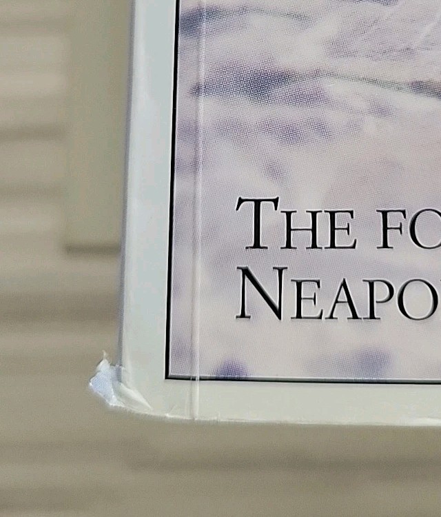 Elena Ferrante Neapolitan FULL SET Collection 4 Trade Paperbacks Europa Editions