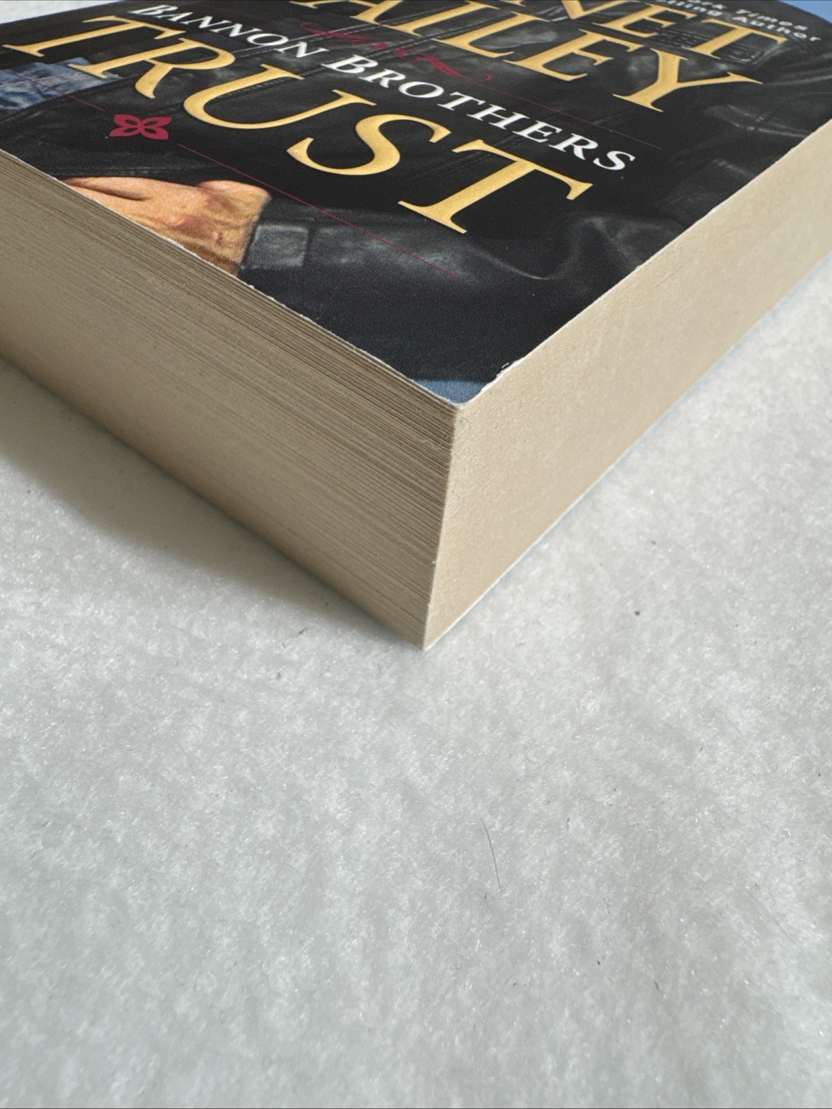 Bannon Brothers: Trust by Janet Daily (2012, Uk- a Format Paperback) Like New