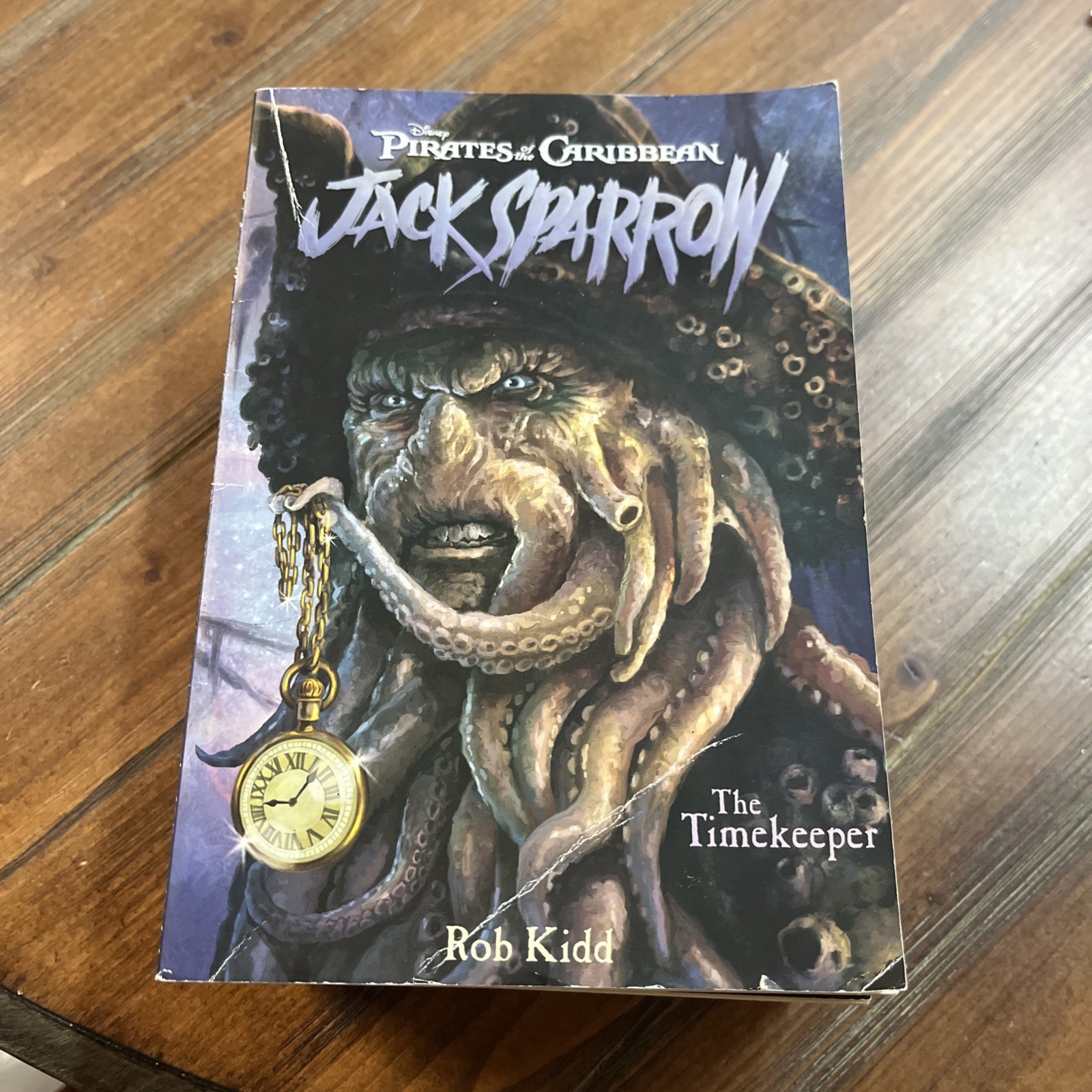 Lot Of 9 Jack Sparrow Books Books #1-9 Disney Press Series Set PB Kidd Pirates