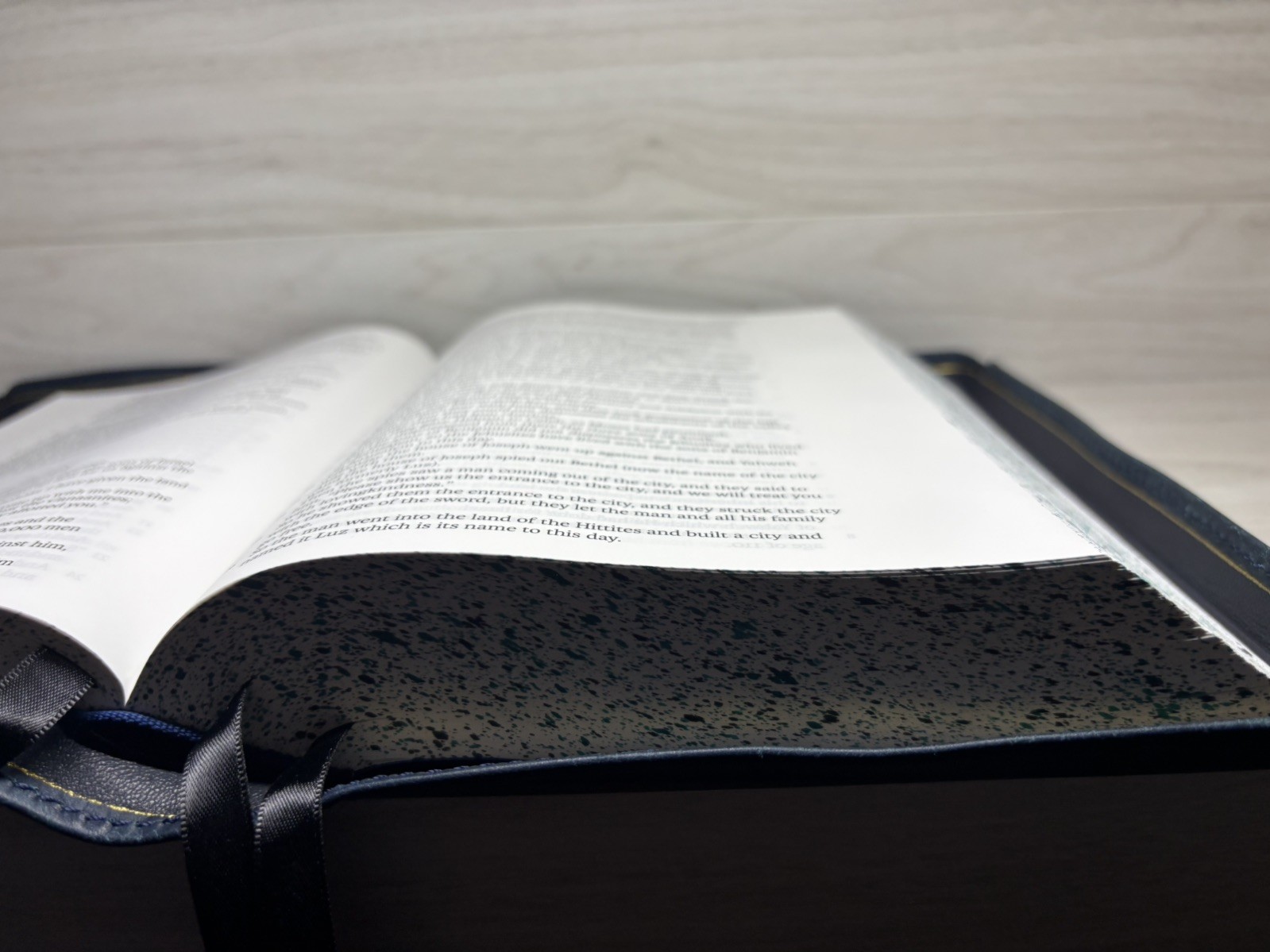 LSB Large Print- Wide Margin Badalassi Carlo Pueblo Sapphire Bible – Rebind