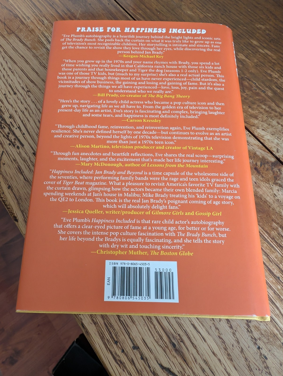 Happiness Included: Jan Brady and Beyond Hardcover by Plumb, Eve