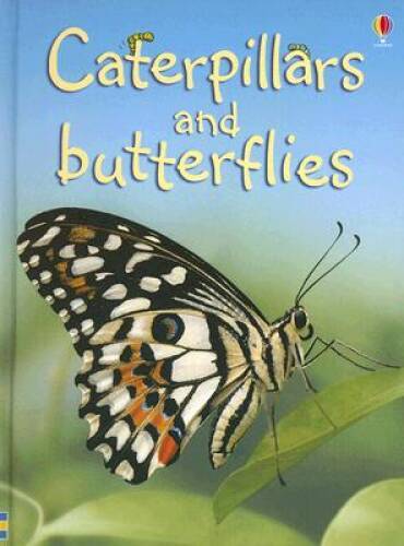 Caterpillars and Butterflies (Beginners Nature, Level 1) – Hardcover – GOOD