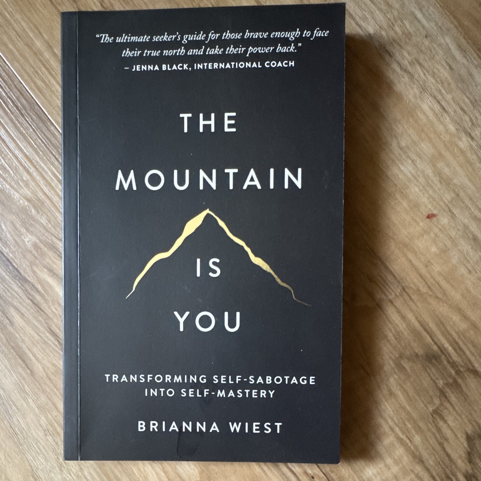 Thought Catalog Books The Mountain Is You by Brianna Wiest Paperback Self-Help