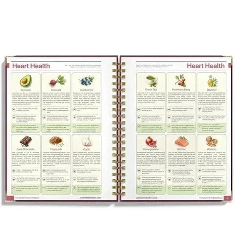 The Natural Healing Handbook Spiral Bound Guide For Herbal Remedies And Natural