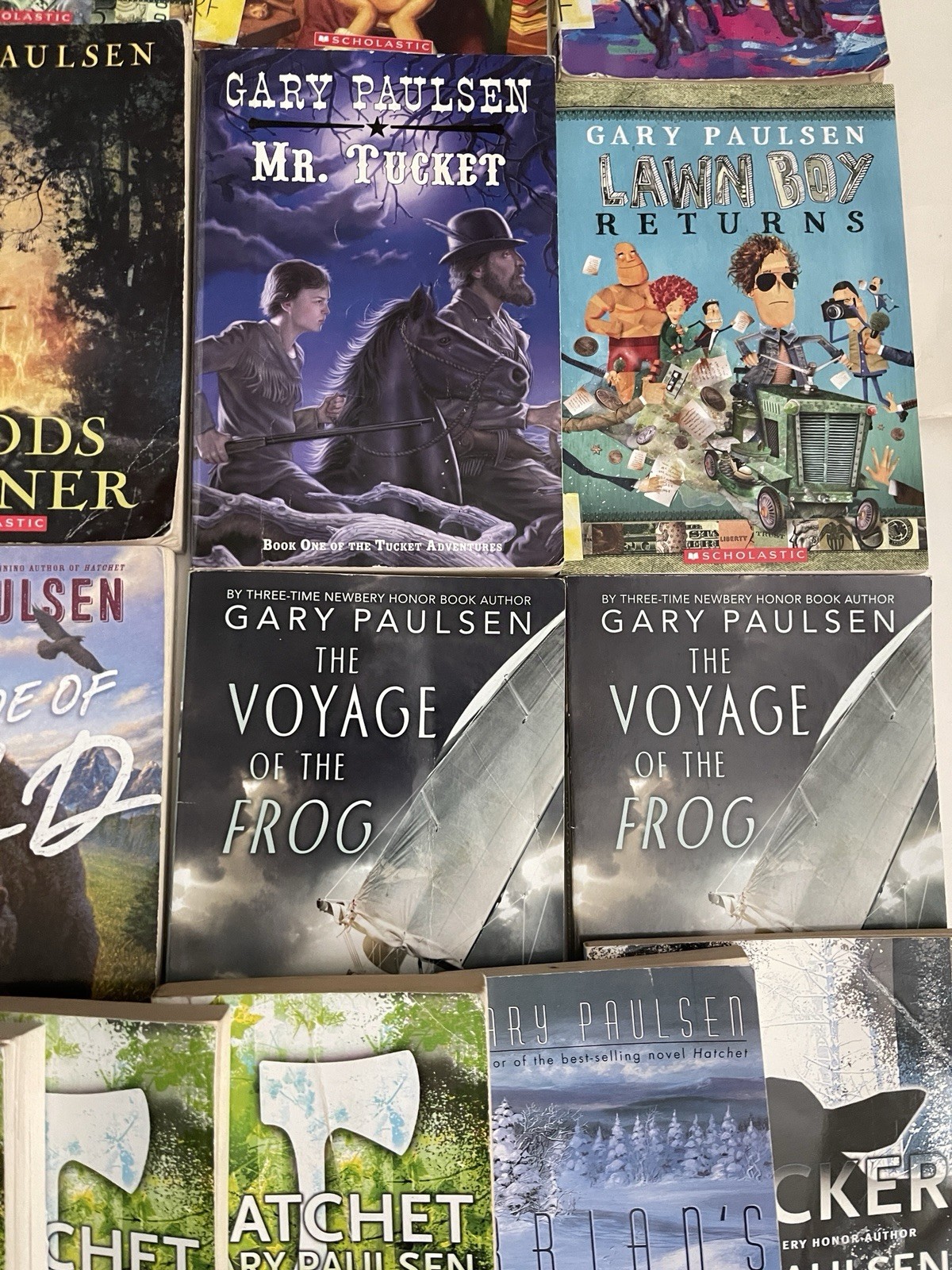 Lot of 23 Gary Paulsen Books- Lawn Boy- Hatchet -Tracker – Frog – Tucket –