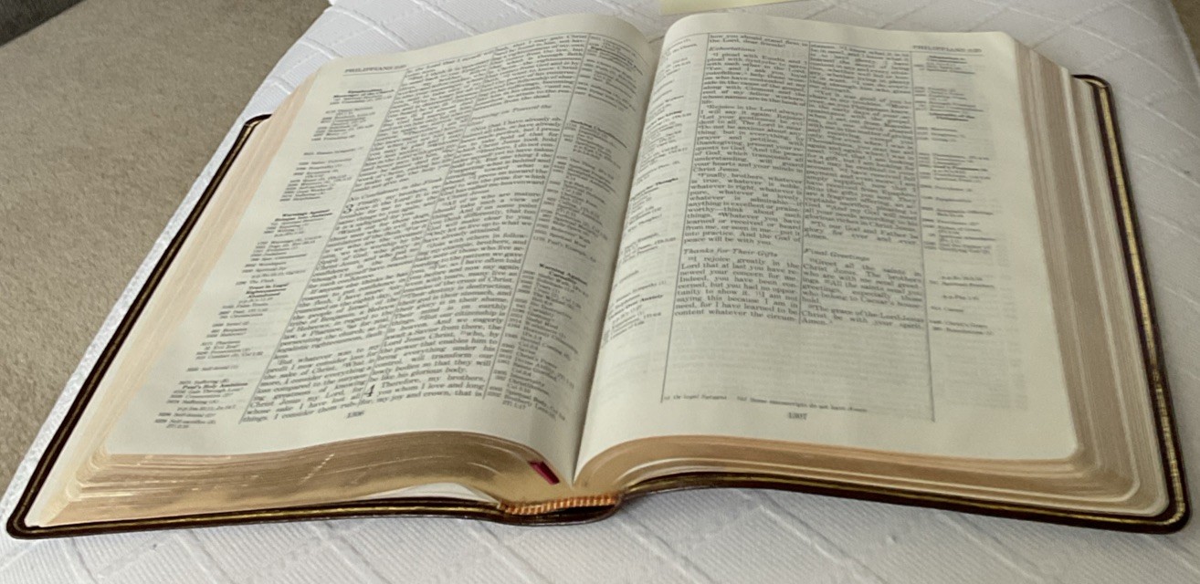 LIKE NEW***THOMPSON CHAIN-REFERENCE BIBLE***NIV***GENUINE LEATHER