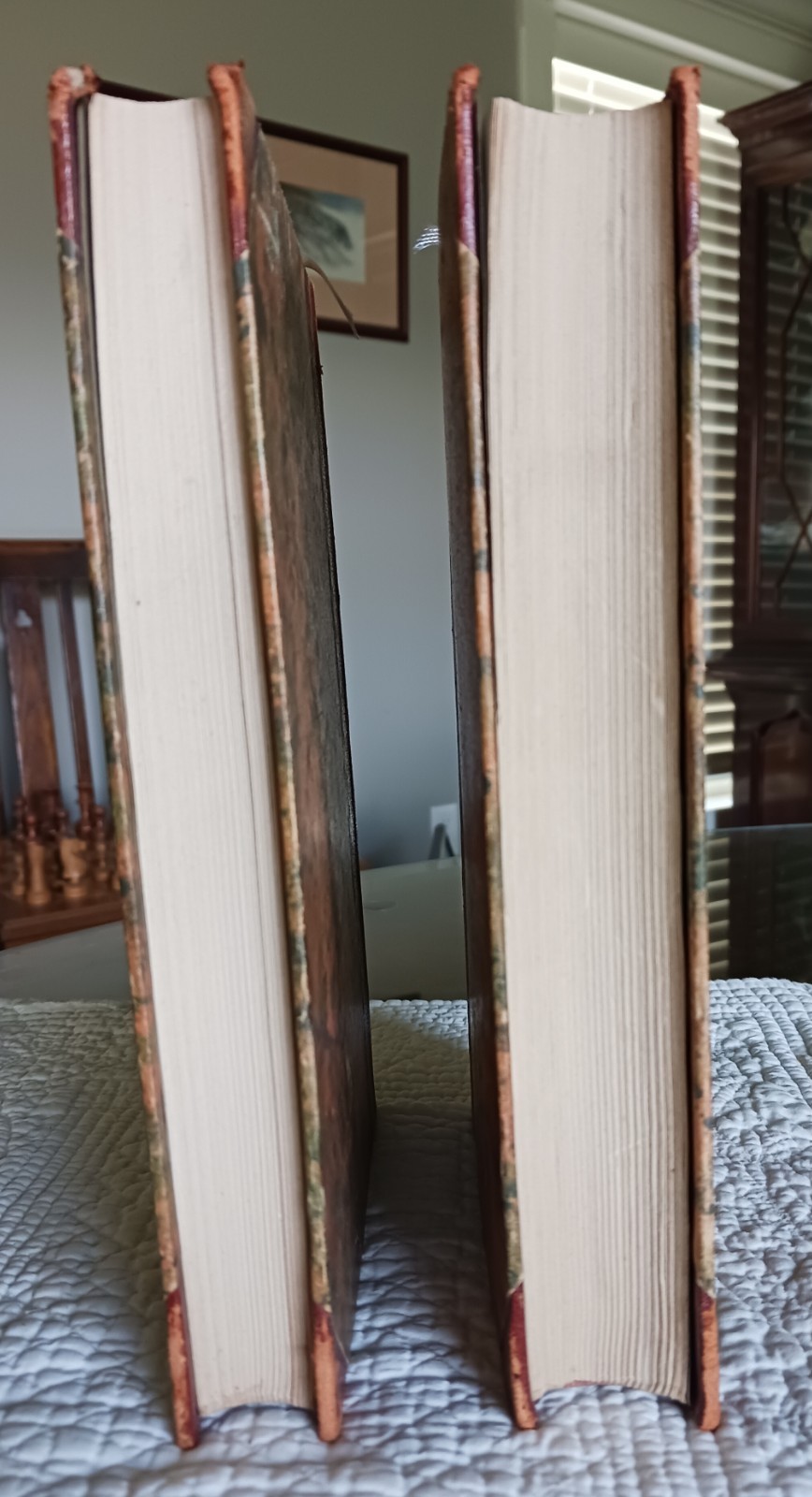 Versuch über die Ungleichheit Der Menschenracen, Gobineau, Volumes 1 & II, 1922