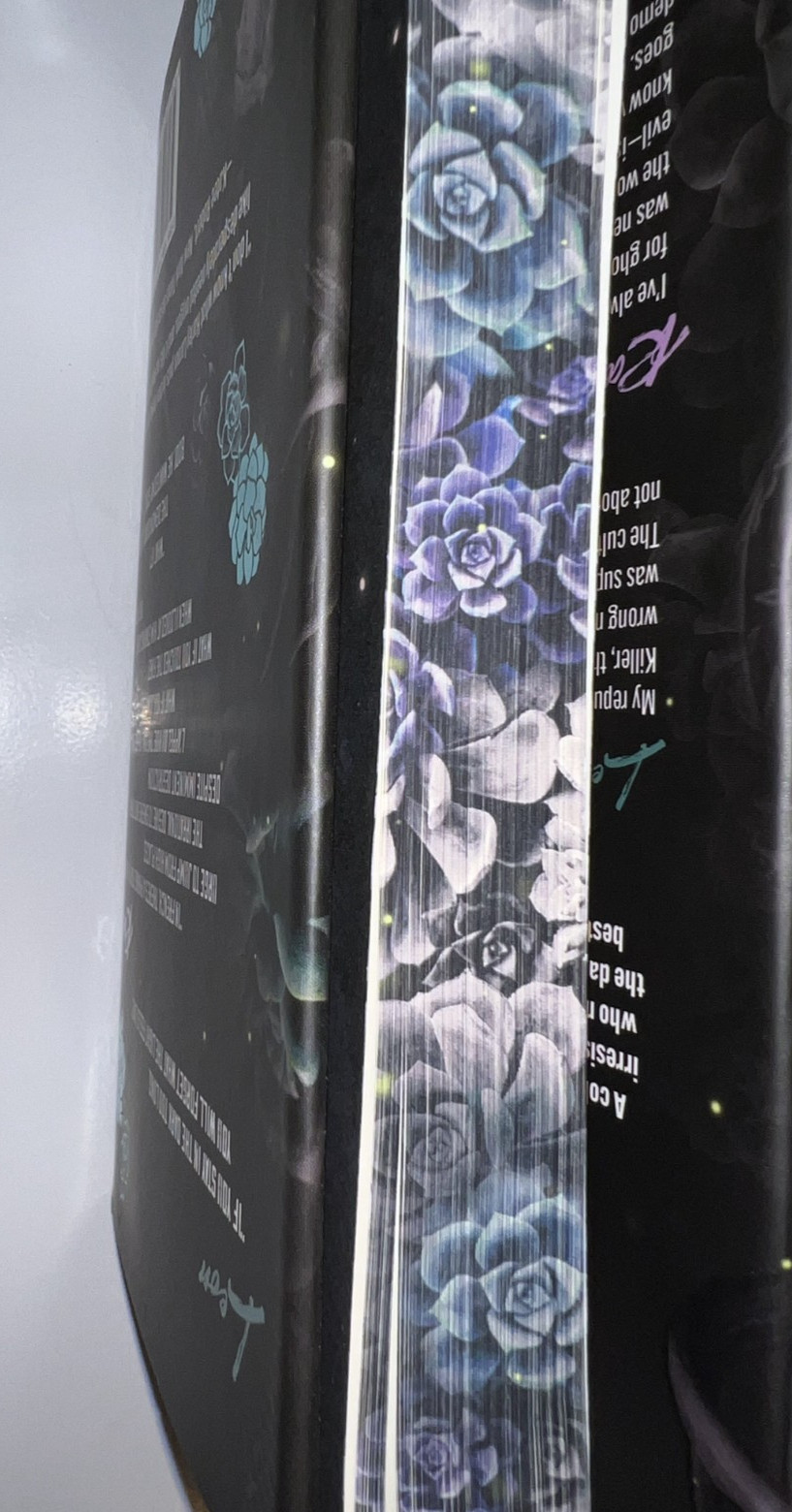 Her Soul to Take: Deluxe Special Edition: A Paranormal Dark Academia Romance…