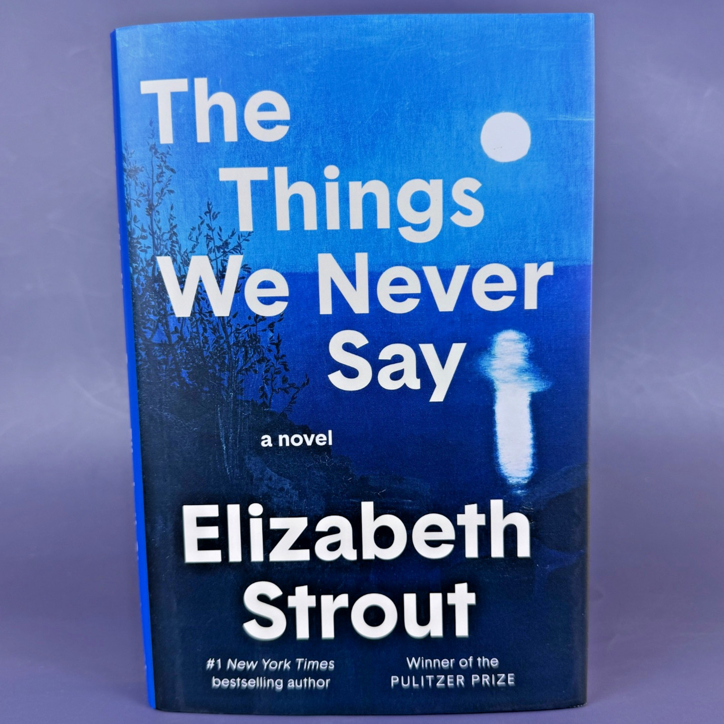 The Things We Never Say by Elizabeth Strout First Edition 1st Printing Hardcover