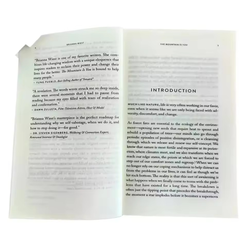 The Mountain is you by Brianna Wiest Paperback Book, Free Shipping US.