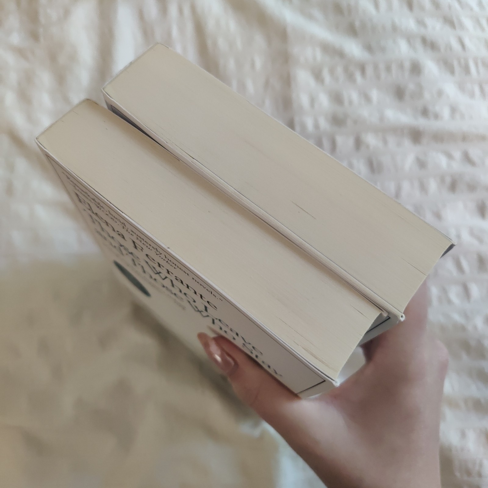 The Neapolitan Novels box set by Elena Ferrante(Europa Editions,trade paperback)