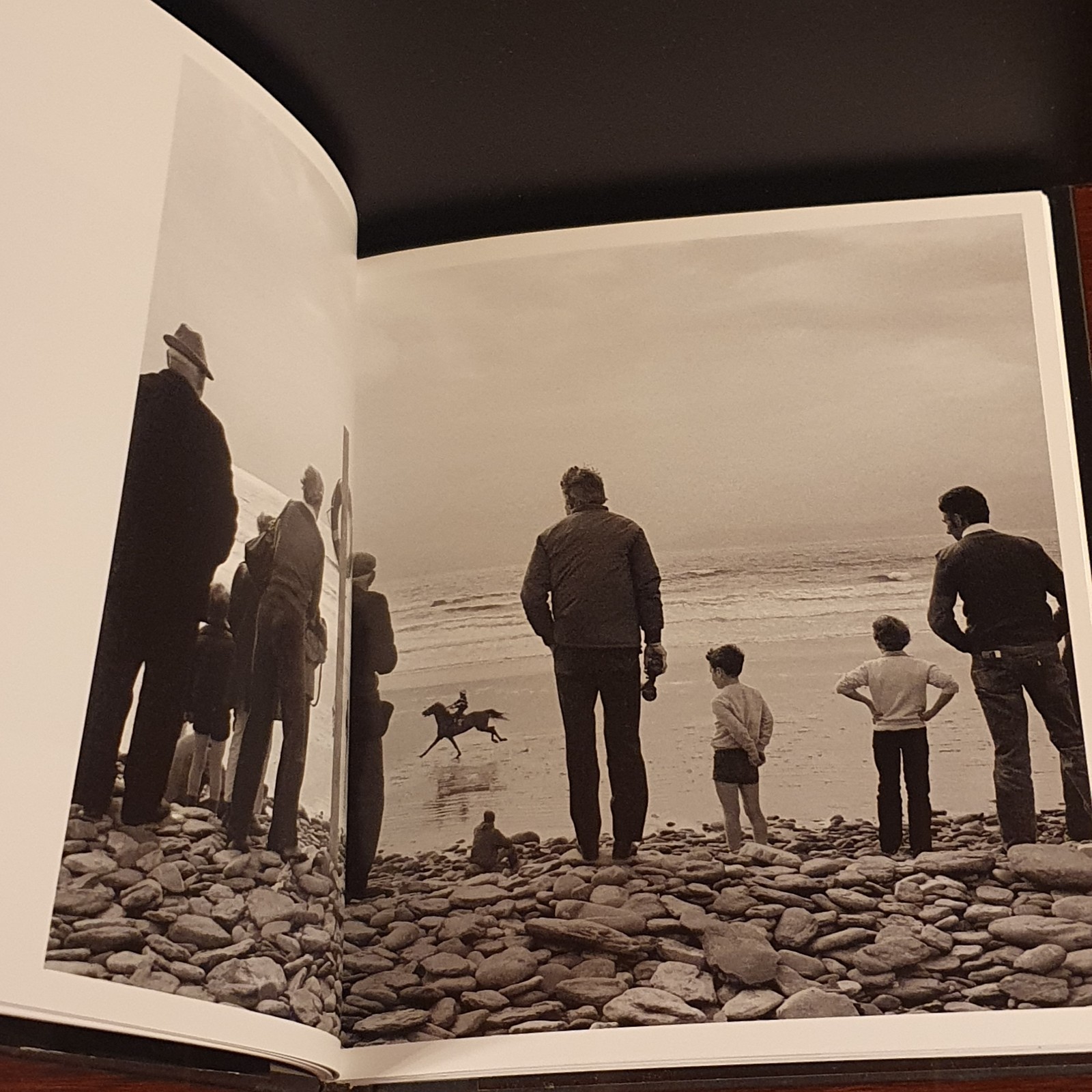 Phaidon Martin Parr by Sandra Phillips Martin Parr (2013, Hardcover) Photography