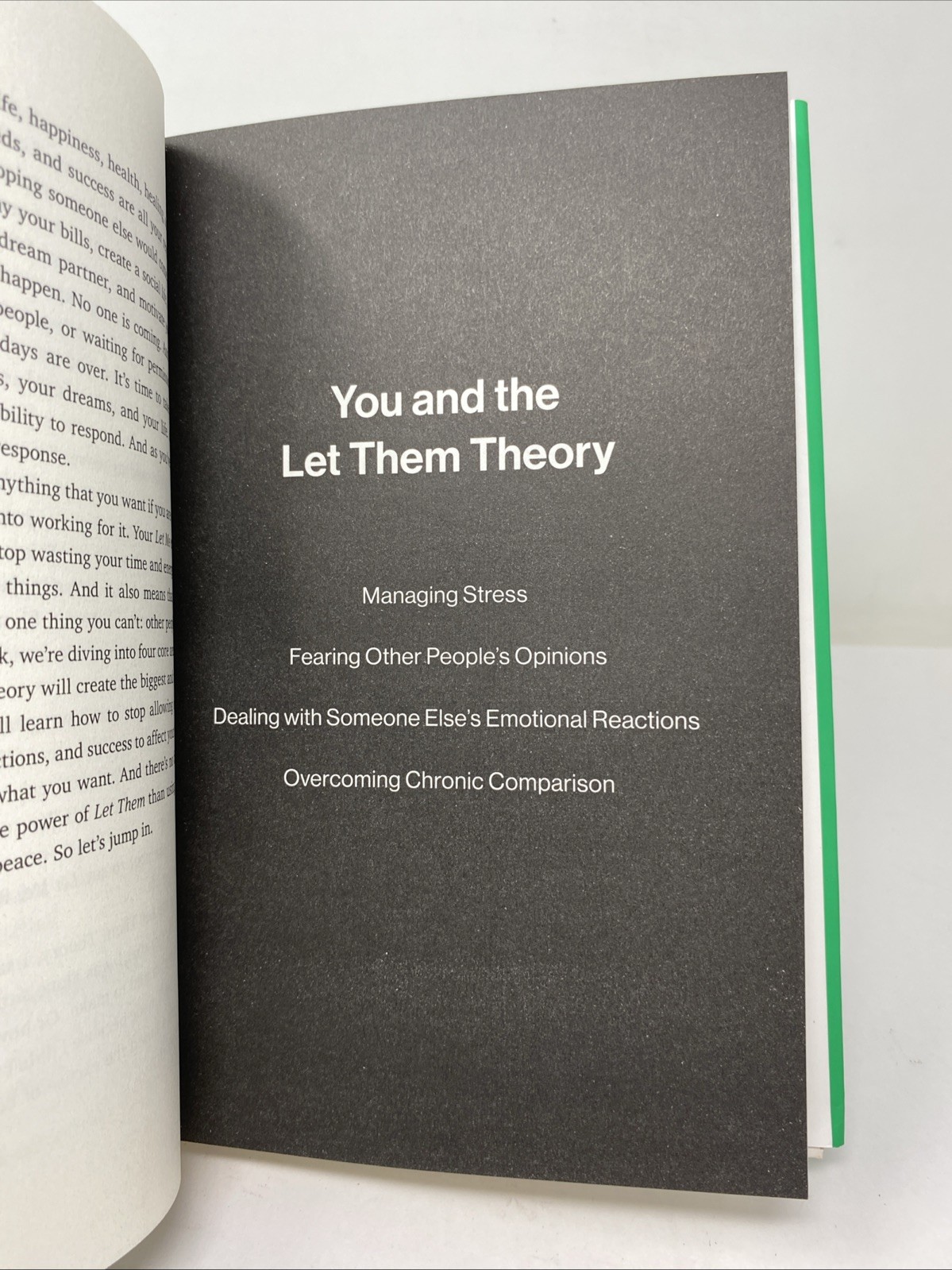 Let Them Theory A Life-Changing Tool That Millions People Mel Robbins HARDCOVER