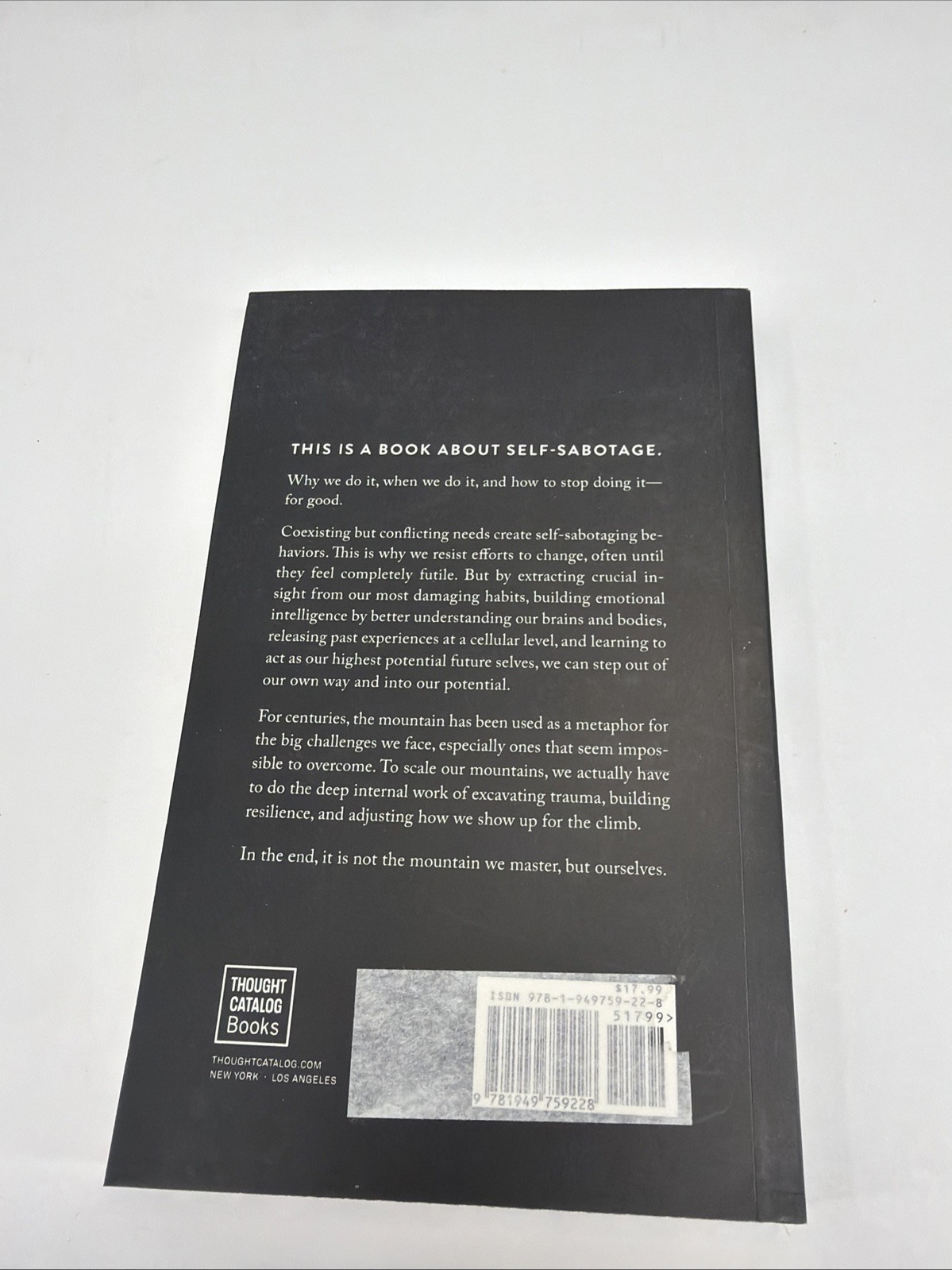 The Mountain is you by Brianna Wiest Paperback Book