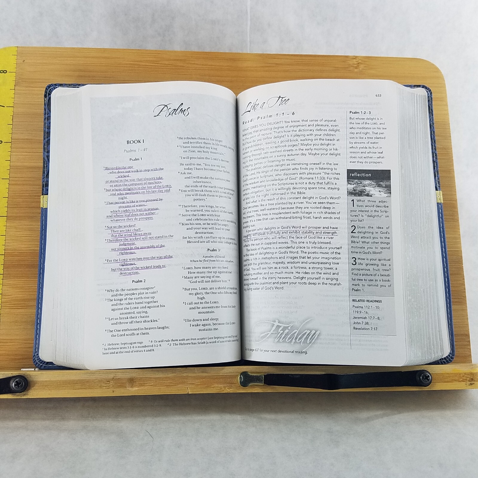 Women’s Devotional Bible by Zondervan Staff (2012, Blue Leather, Special)