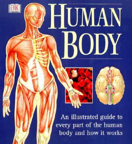 Human Body: An Illustrated Guide to Every Part of the Human Body and How – GOOD