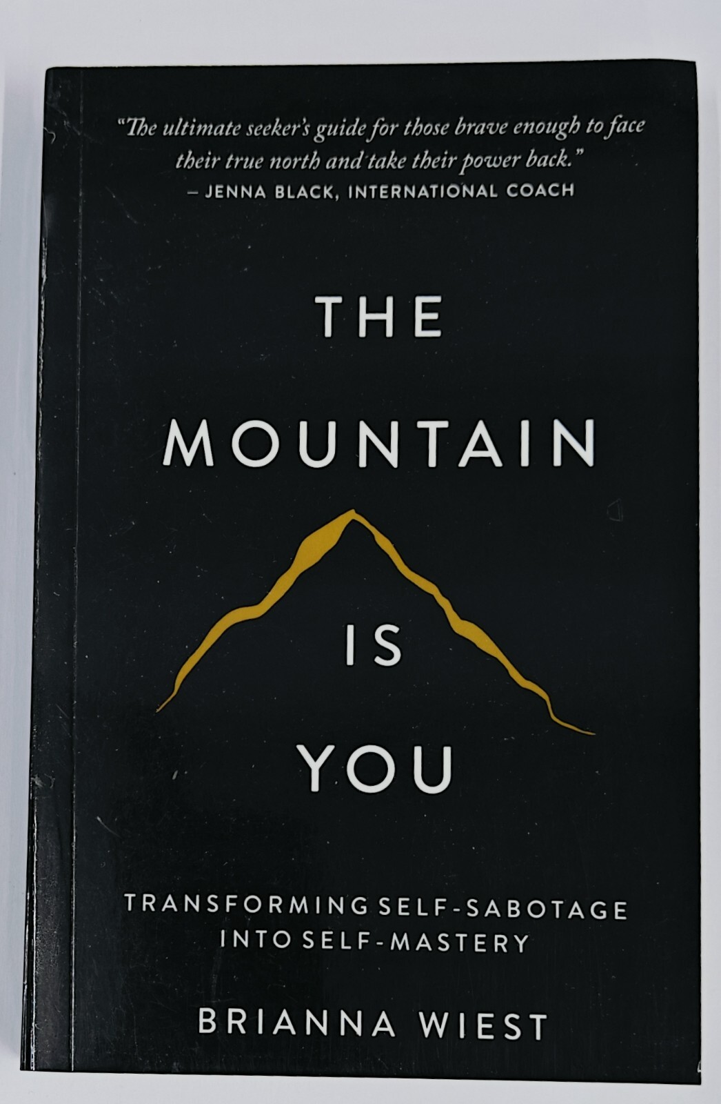 THE MOUNTAIN IS YOU BY BRIANNA WIEST