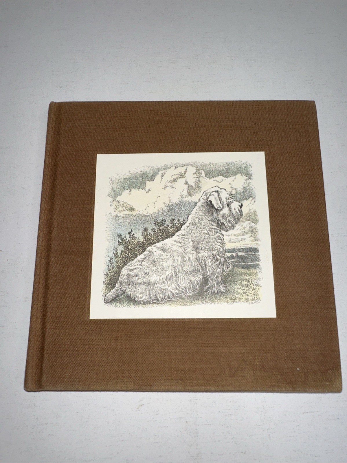 HIGGLETY PIGGLETY POP! Maurice Sendak 1st Edition Harper & Row 1967