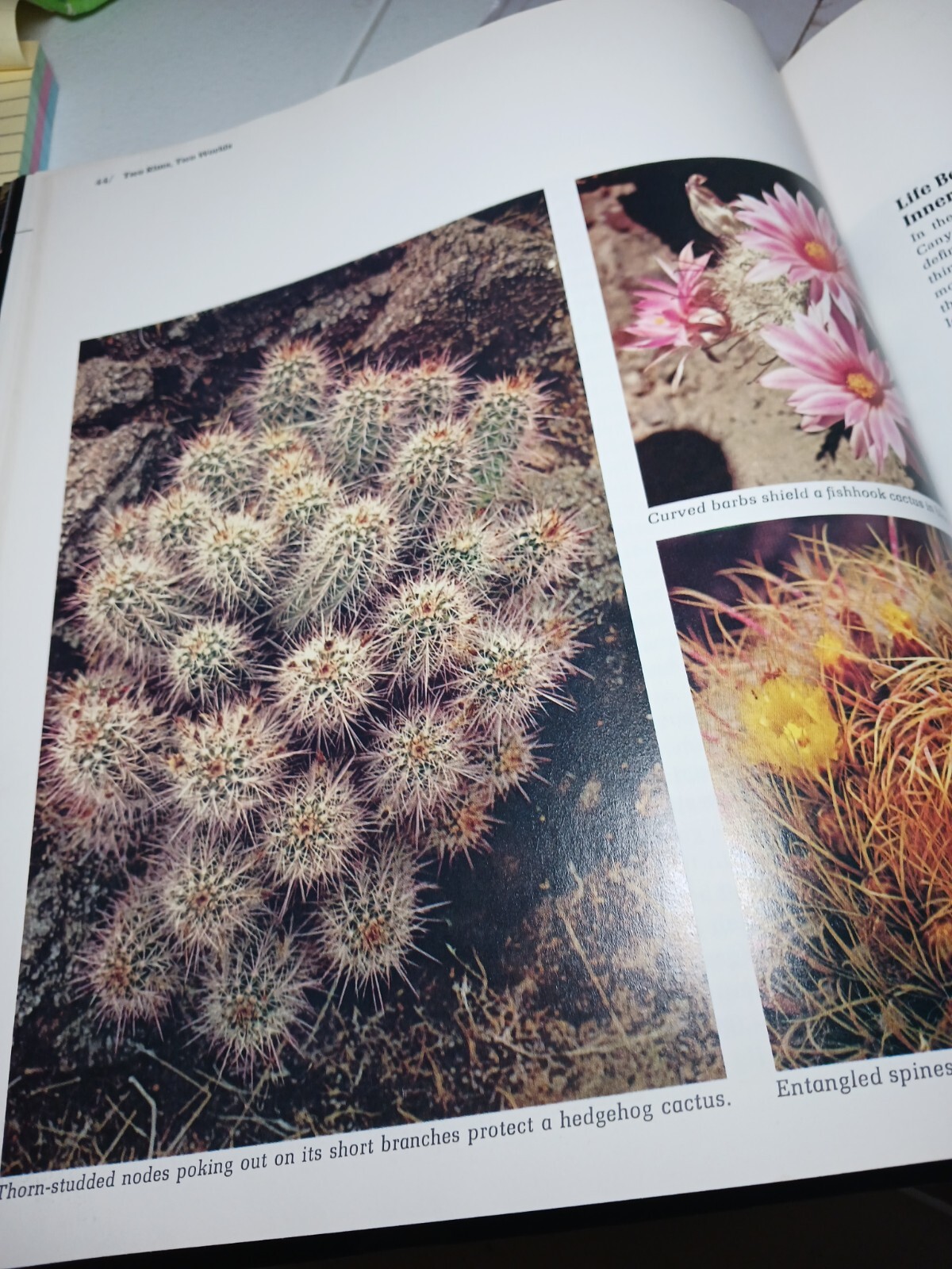The Grand Canyon The American Wilderness 1972 Time-Life Hardcover 184 Pages