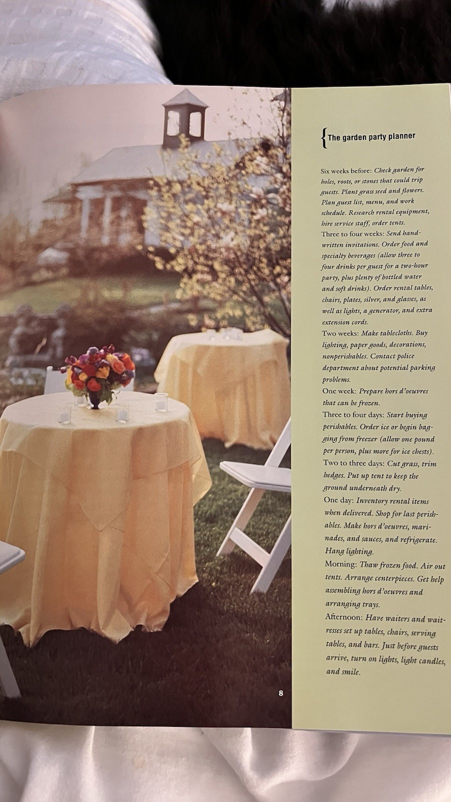 Special Occasions Martha Stewart Living 1st EDITION 1994 Hardcover Like NEW