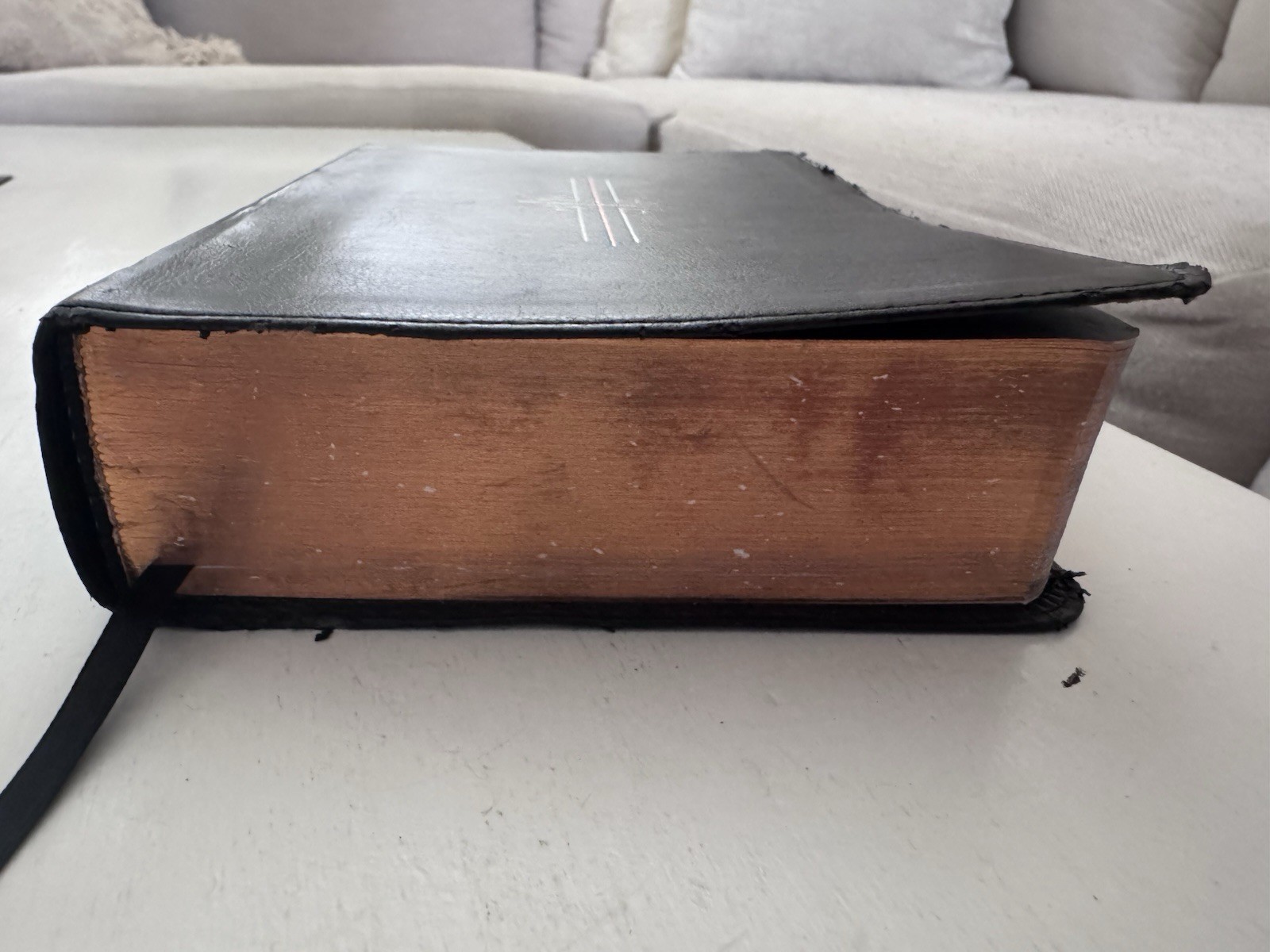 NLT Filament Bible (Hardcover Leather-Like, Black): Premium Bible