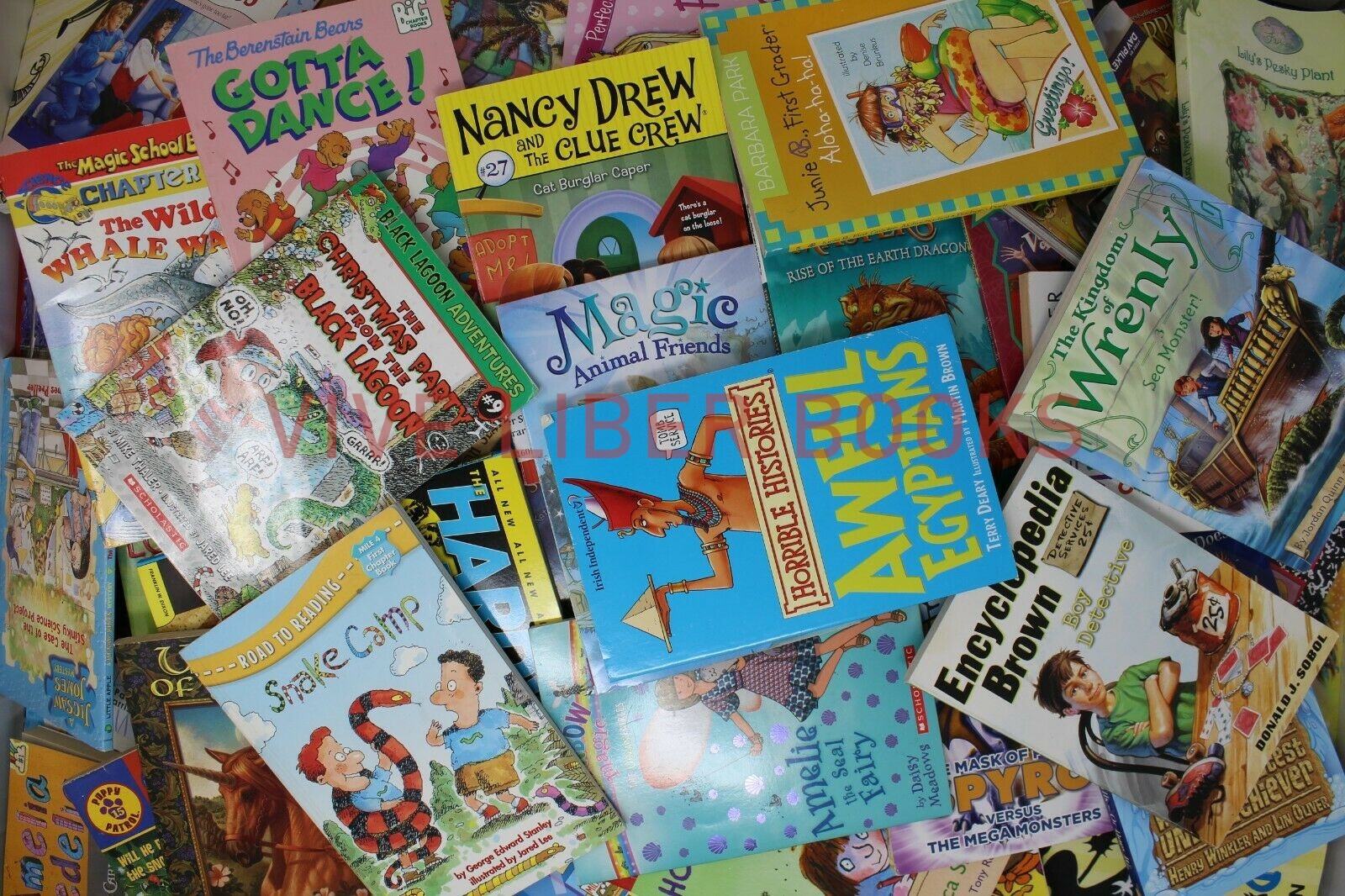 Bulk/Huge Lot of 50 of Children’s Kids Chapter Books – Random – Free Shipping!