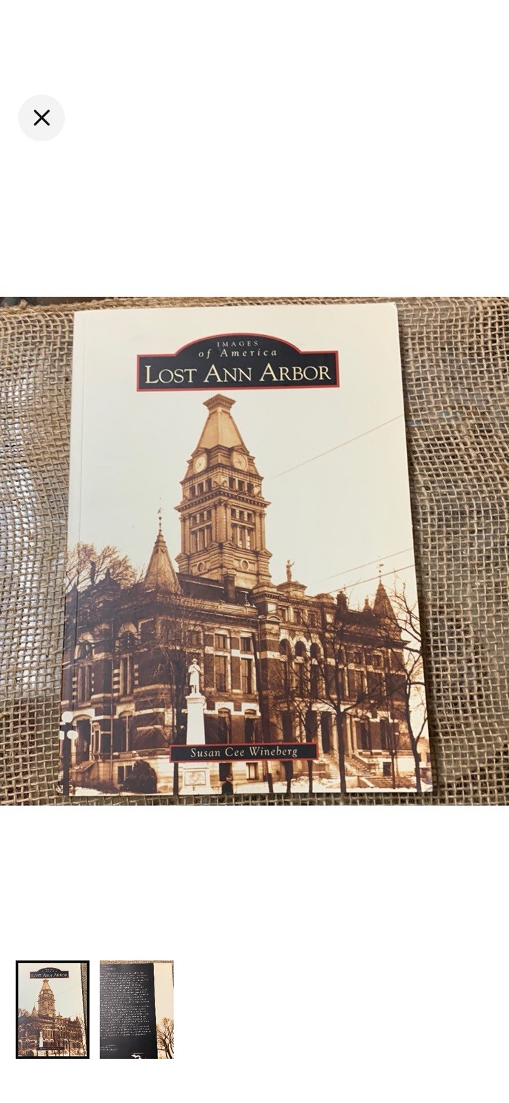 Lost Ann Arbor by Susan Cee Wineberg (2004, Trade Paperback)