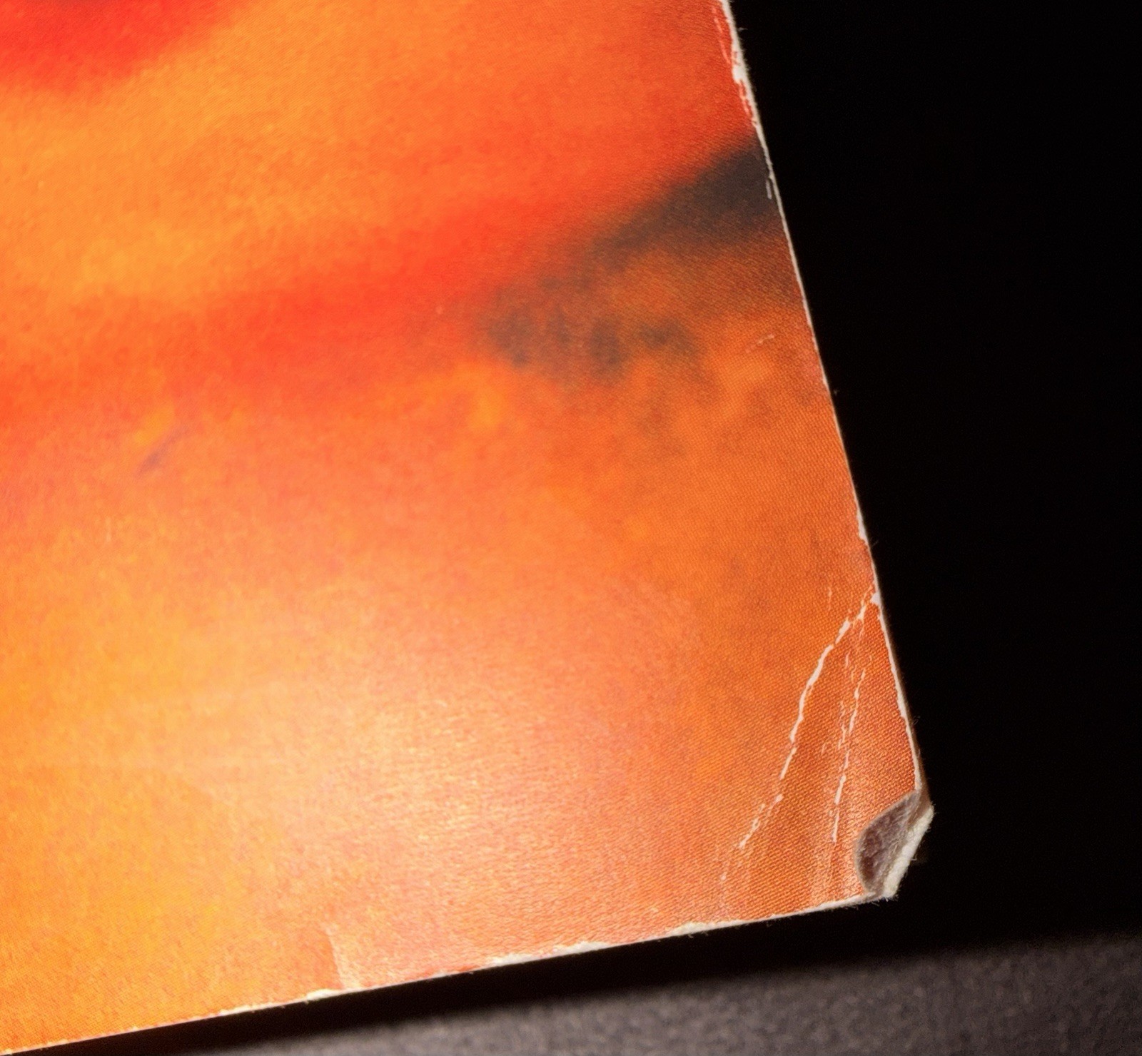 Sun Also Rises : The Authorized Edition by Ernest Hemingway (2006, Trade…