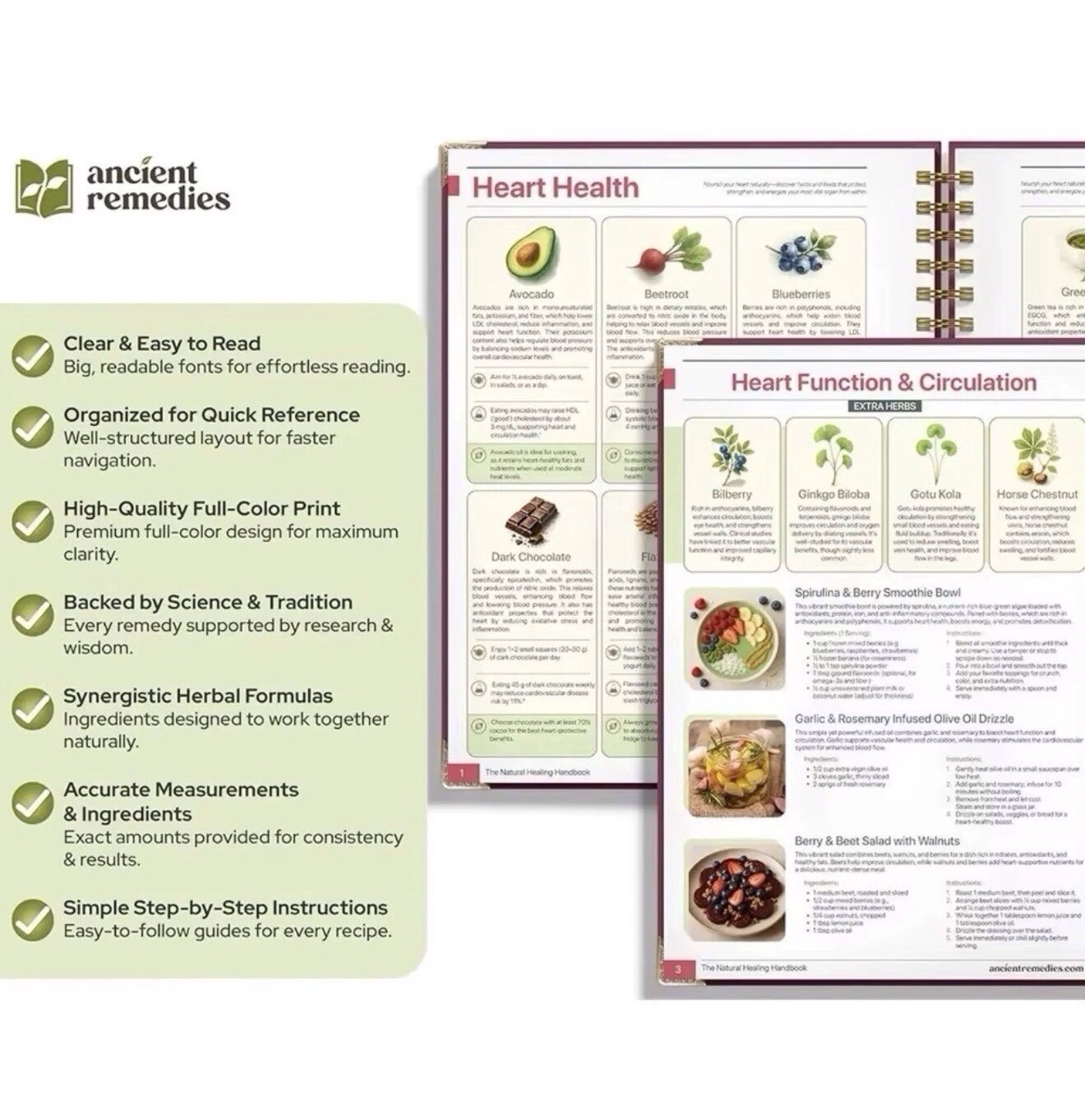 The Natural Healing Handbook Spiral-Bound Simple Recipes & Remedies Homeopathic