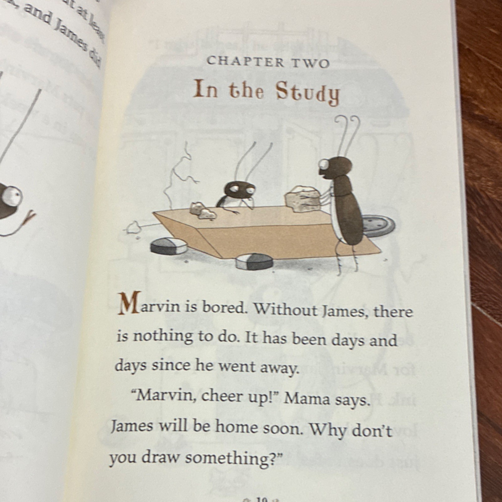 Square Fish Miniature World of Marvin & James Elise Broach PB Ages 4-12