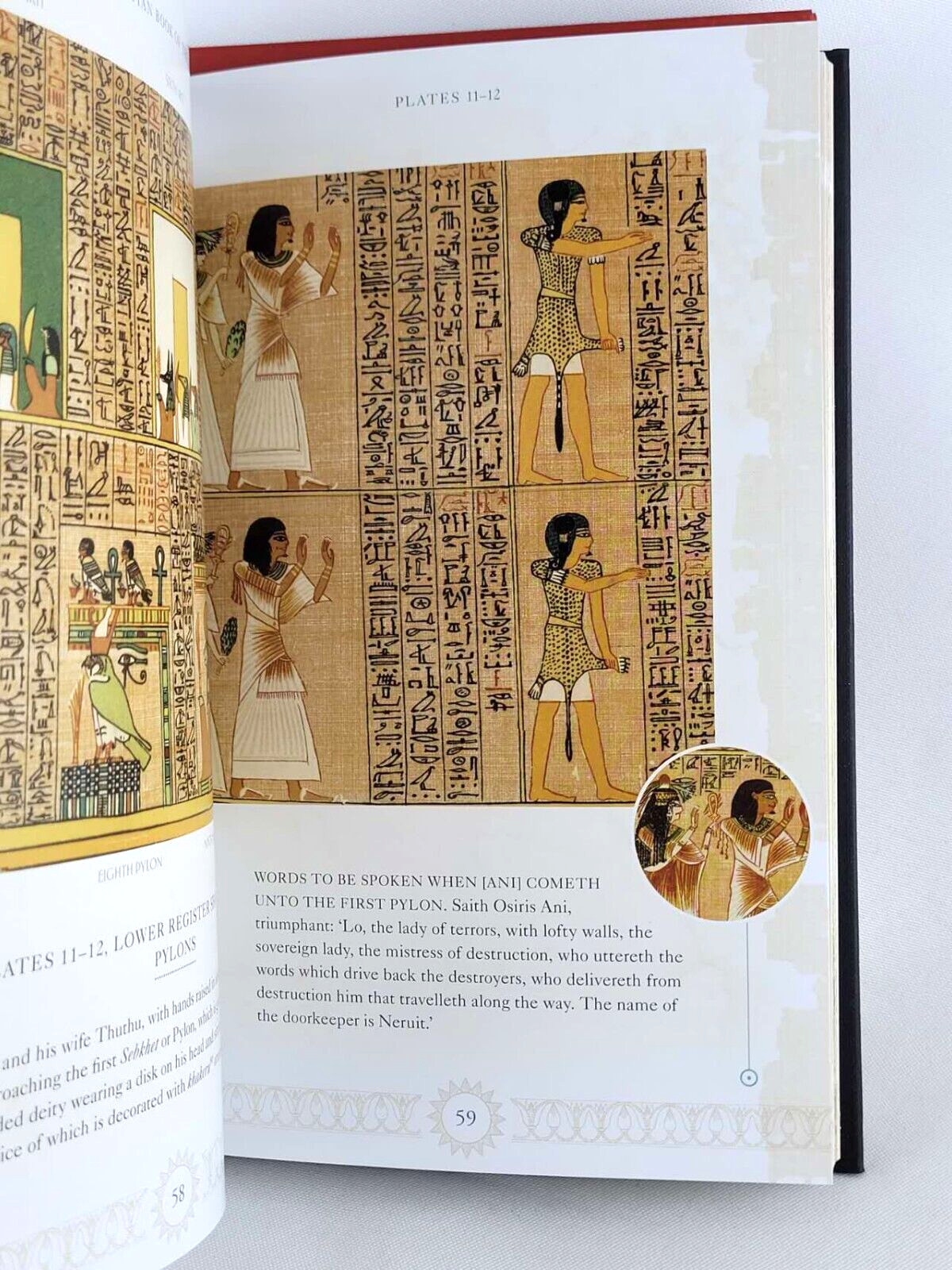THE EGYPTIAN BOOK OF THE DEAD & TIBETAN BOOK OF THE DEAD Illustrated *Brand New*