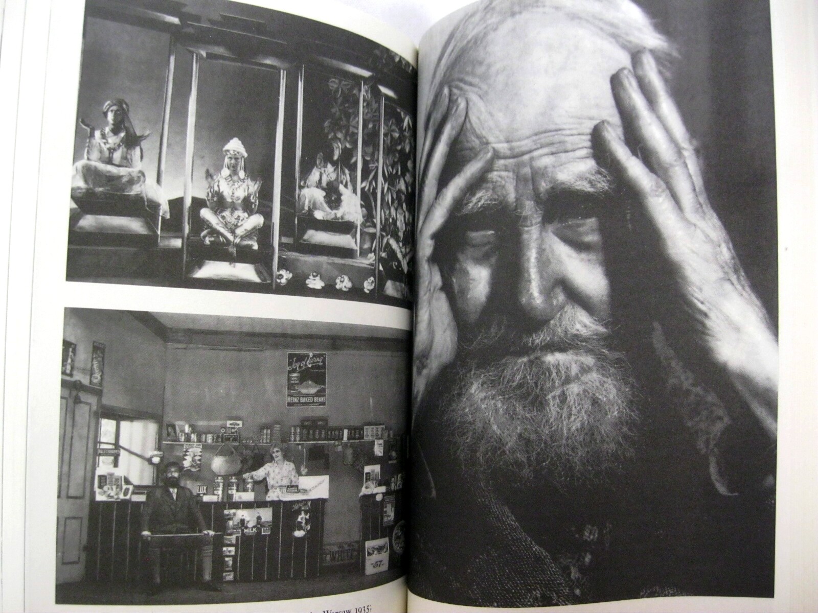 George Bernard Shaw 5 Books Back to Methusaleh Plays Viking Portable Biography