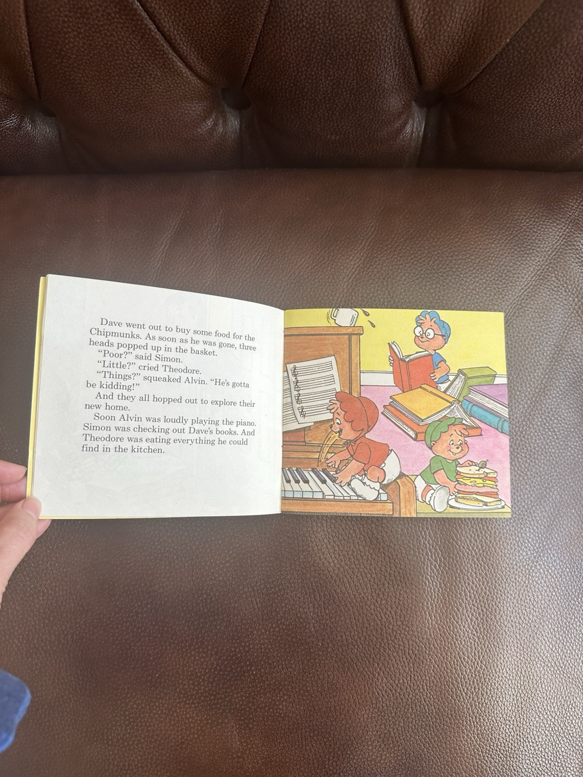 Vintage Alvin & The Chipmunks- The Chipmunk Story Paperback 1983