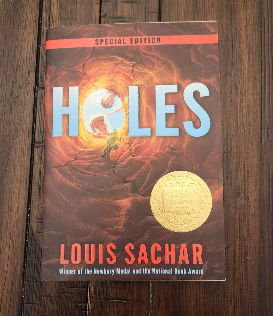 Holes – Paperback By Louis Sachar – BRAND NEW