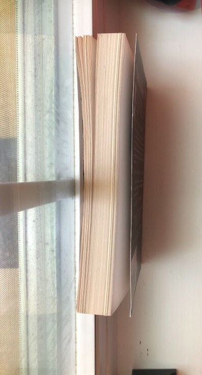 The Third Twin by CJ Omololu Matte Soft Cover Paper Back