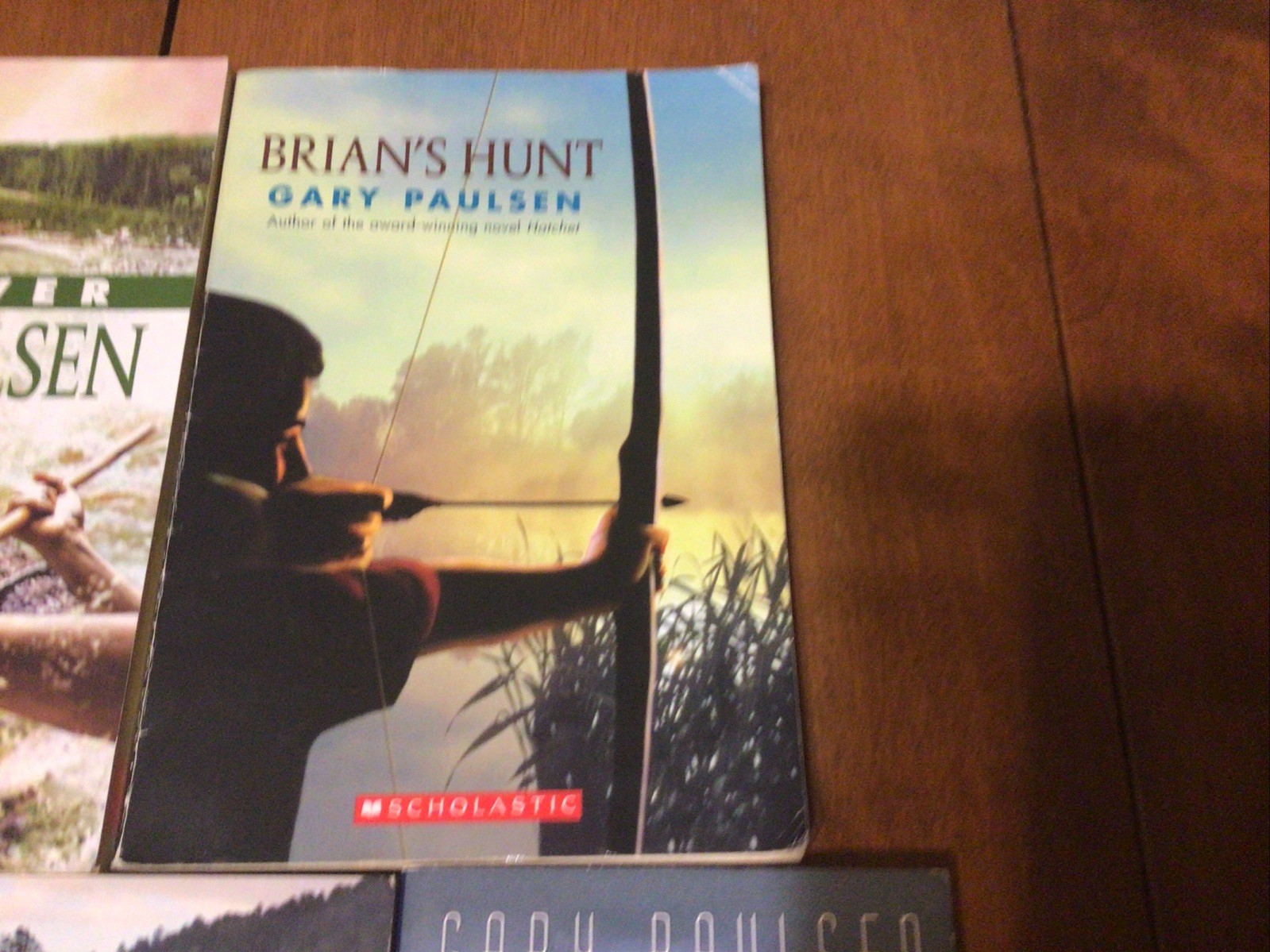 Complete Set Lot Of 5 BRIAN Books Paulsen HATCHET River HUNT Return WINTER (L1)