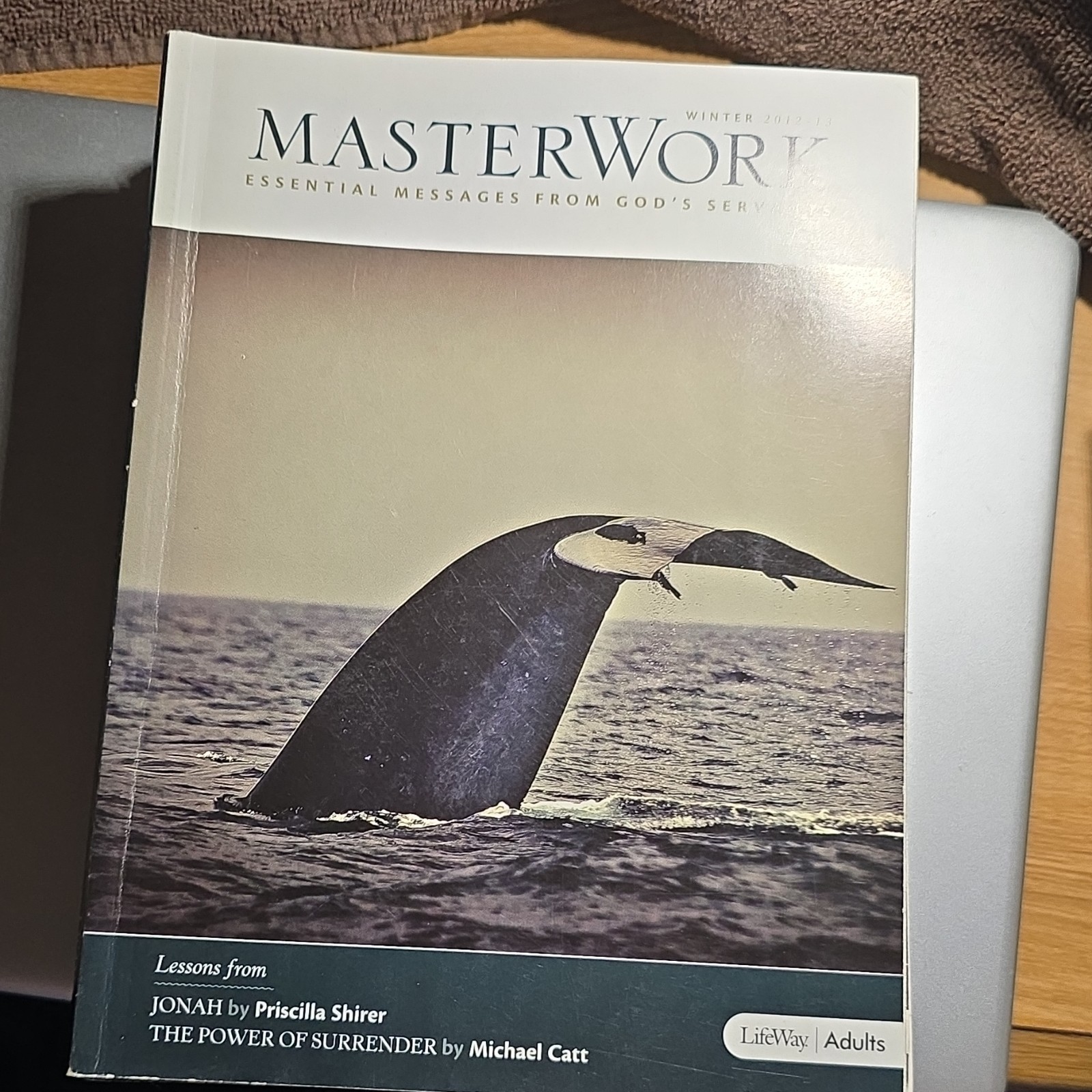 LifeWay MasterWork Adult Bible Study Paperback Various Lessons & Authors 2009