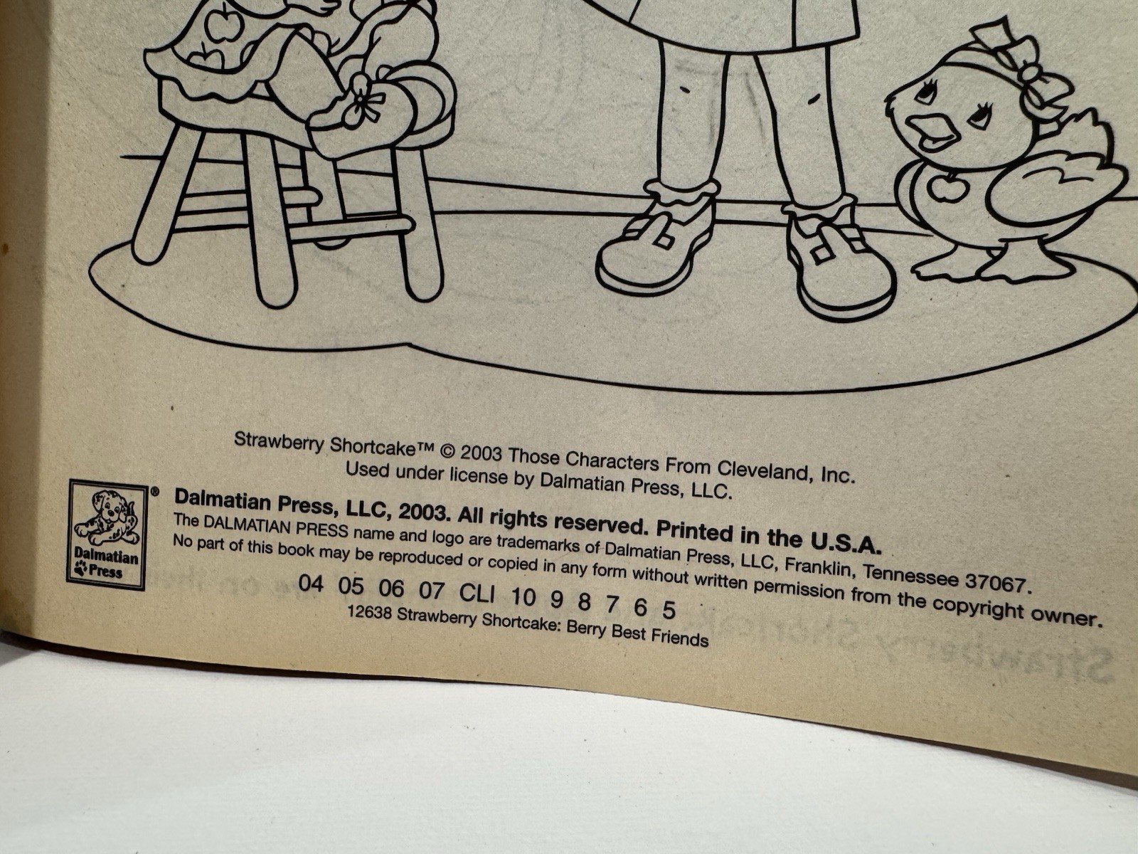 2003 Strawberry Shortcake Berry Best Friends 400 Pages of Coloring Fun *READ*