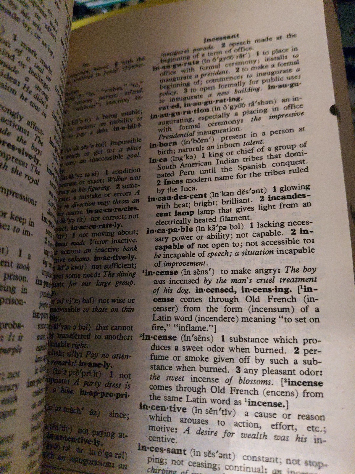 VINTAGE SCHOLASTIC DICTIONARY OF AMERICAN ENGLISH 1970’s PAPERBACK 864 PAGES