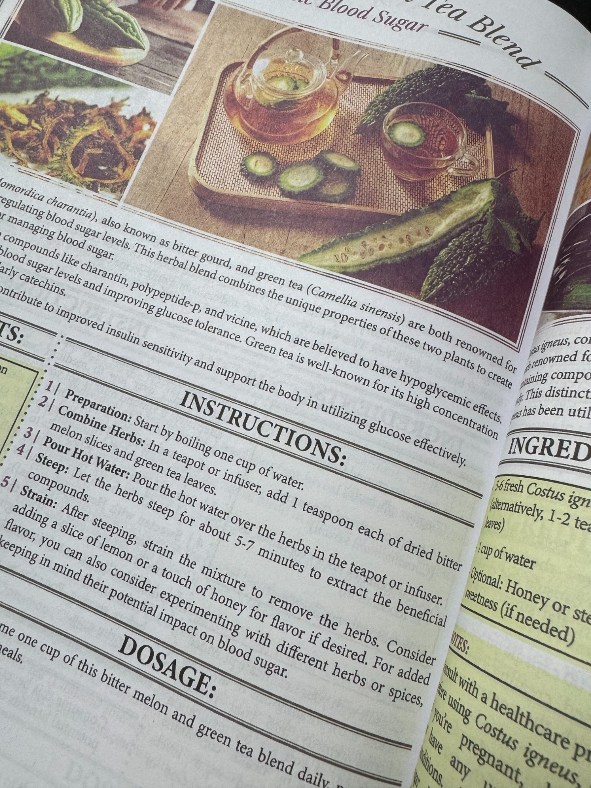 Forgotten Home Apothecary : 250 Powerful Remedies at Your Fingertips